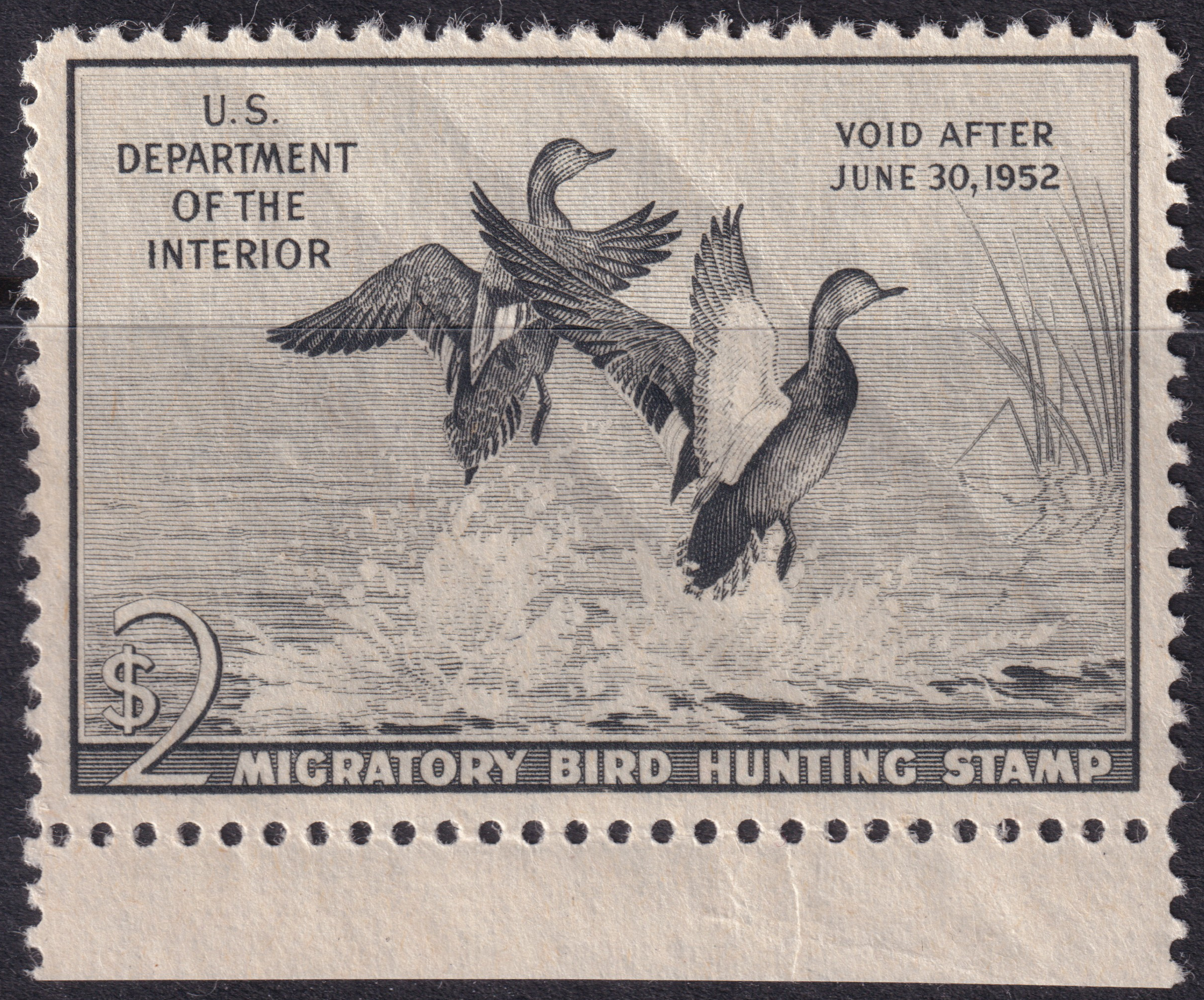 Stamp Picture