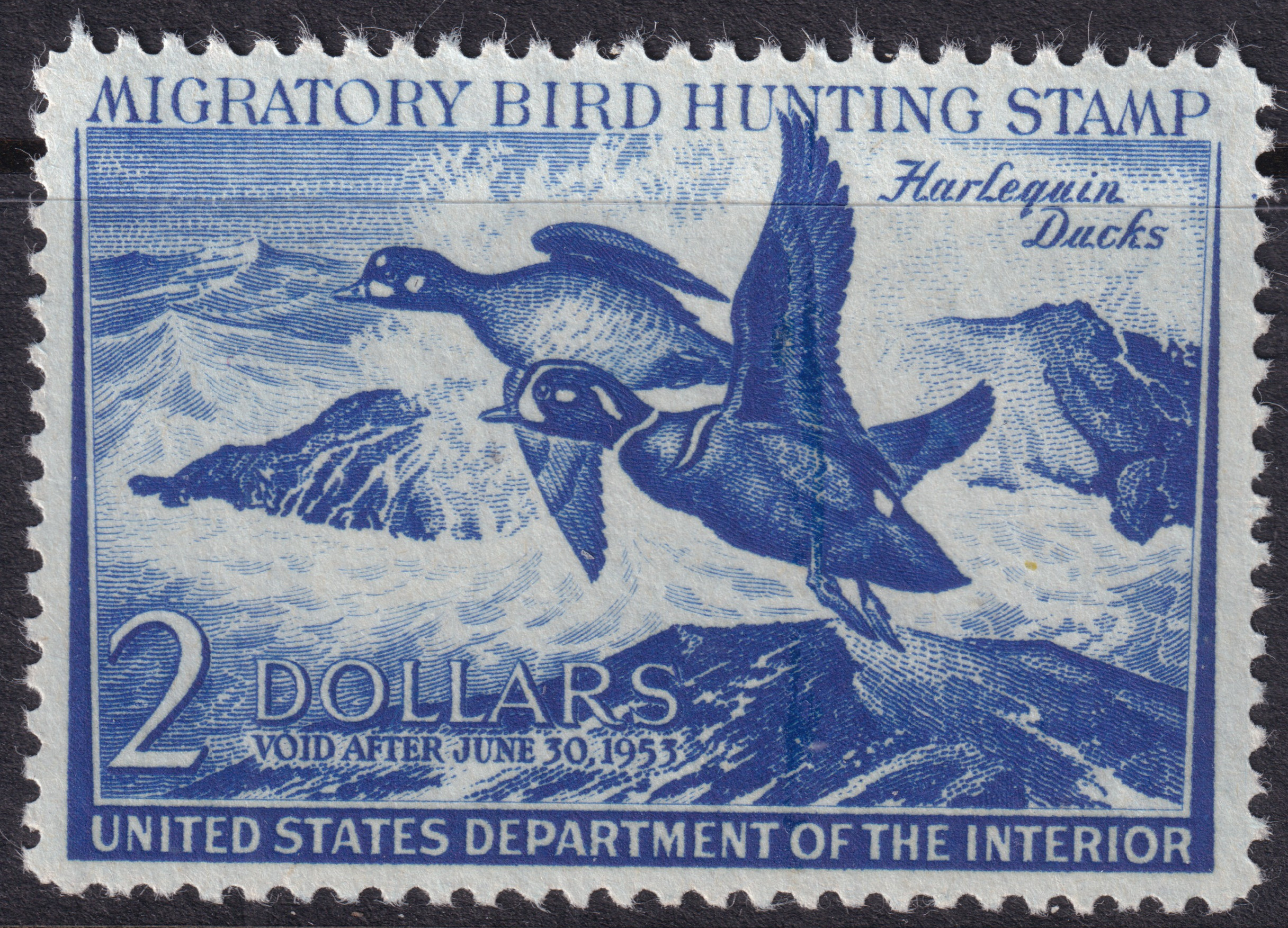Stamp Picture
