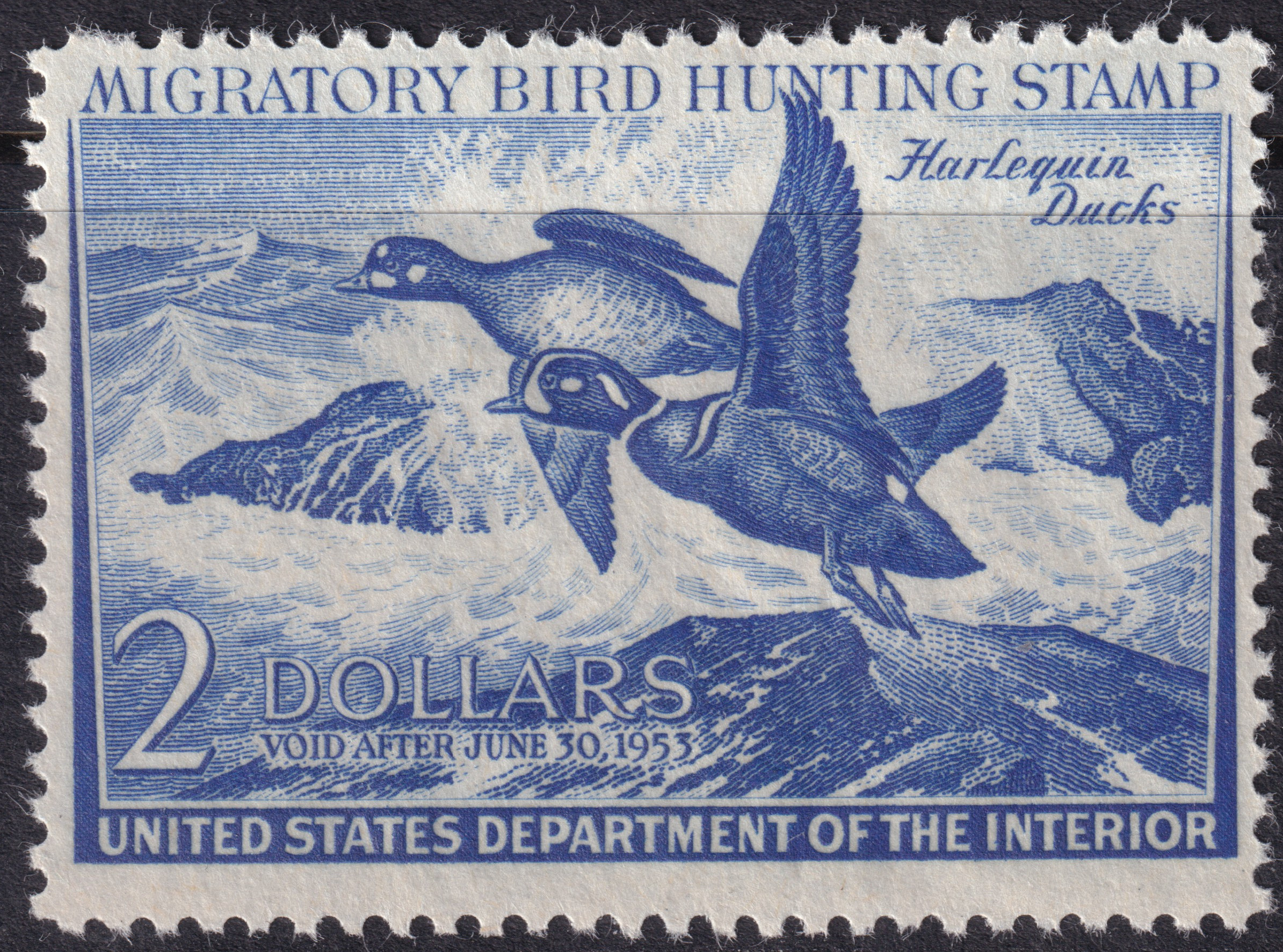 Stamp Picture