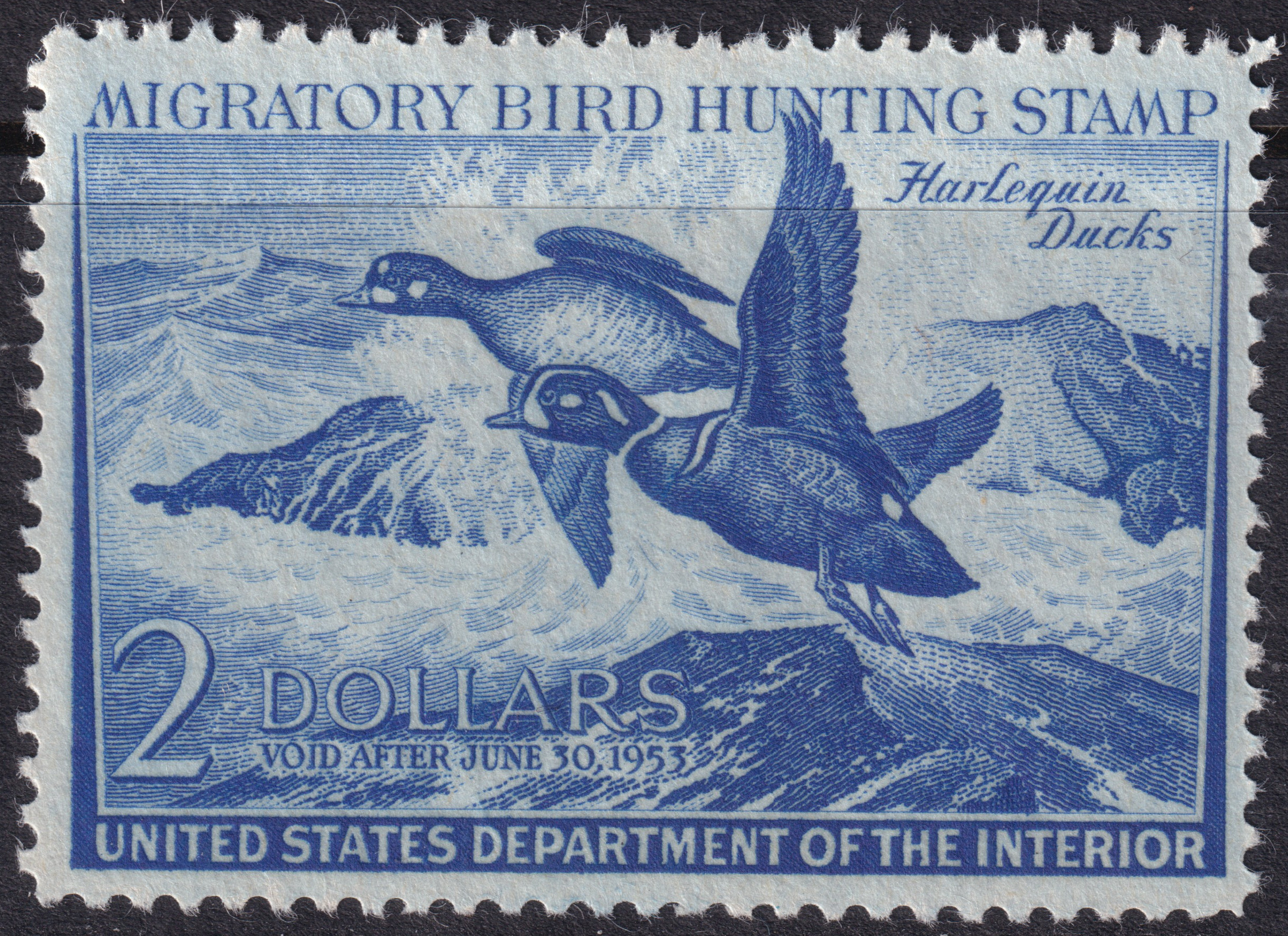 Stamp Picture