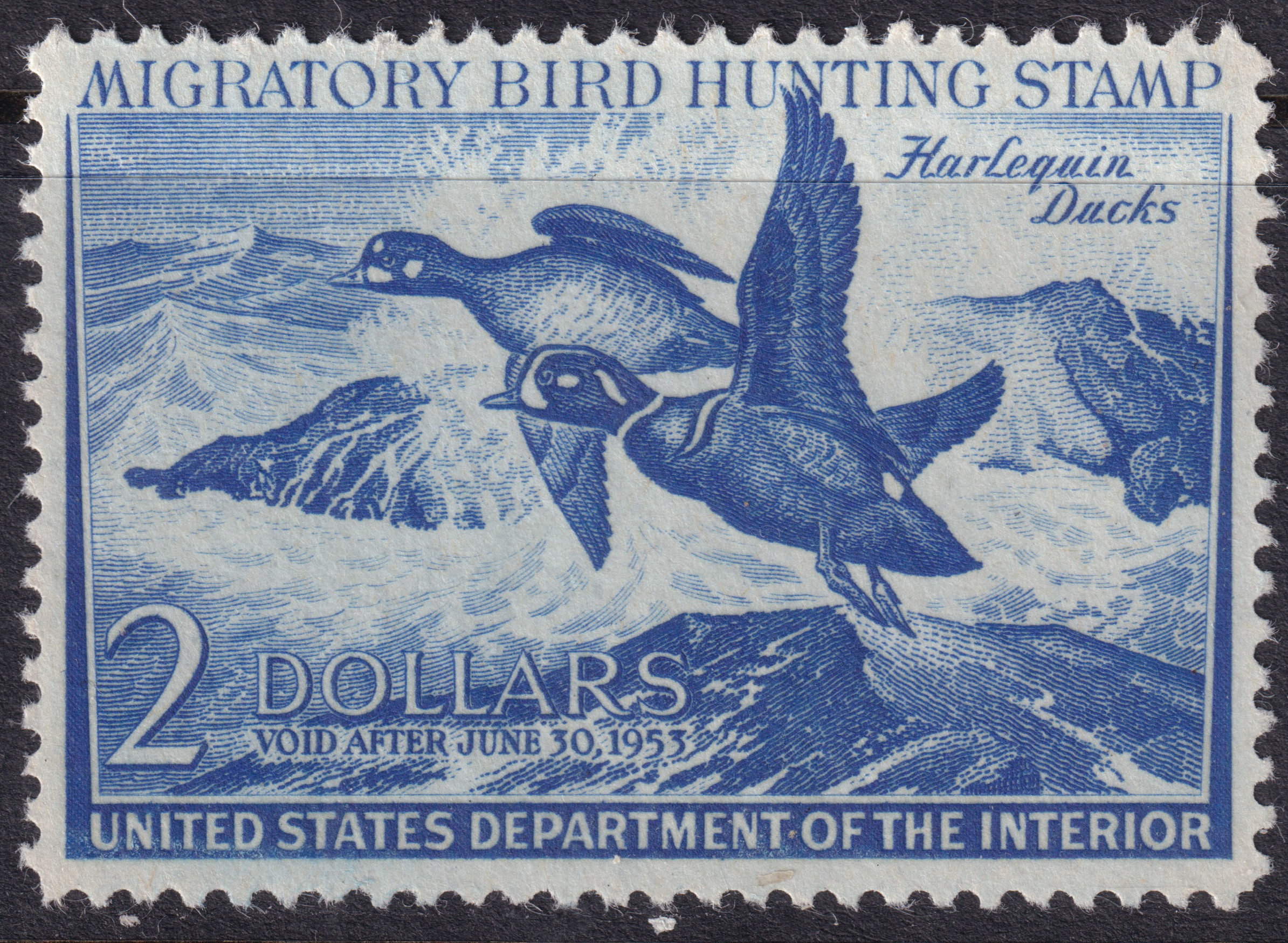 Stamp Picture