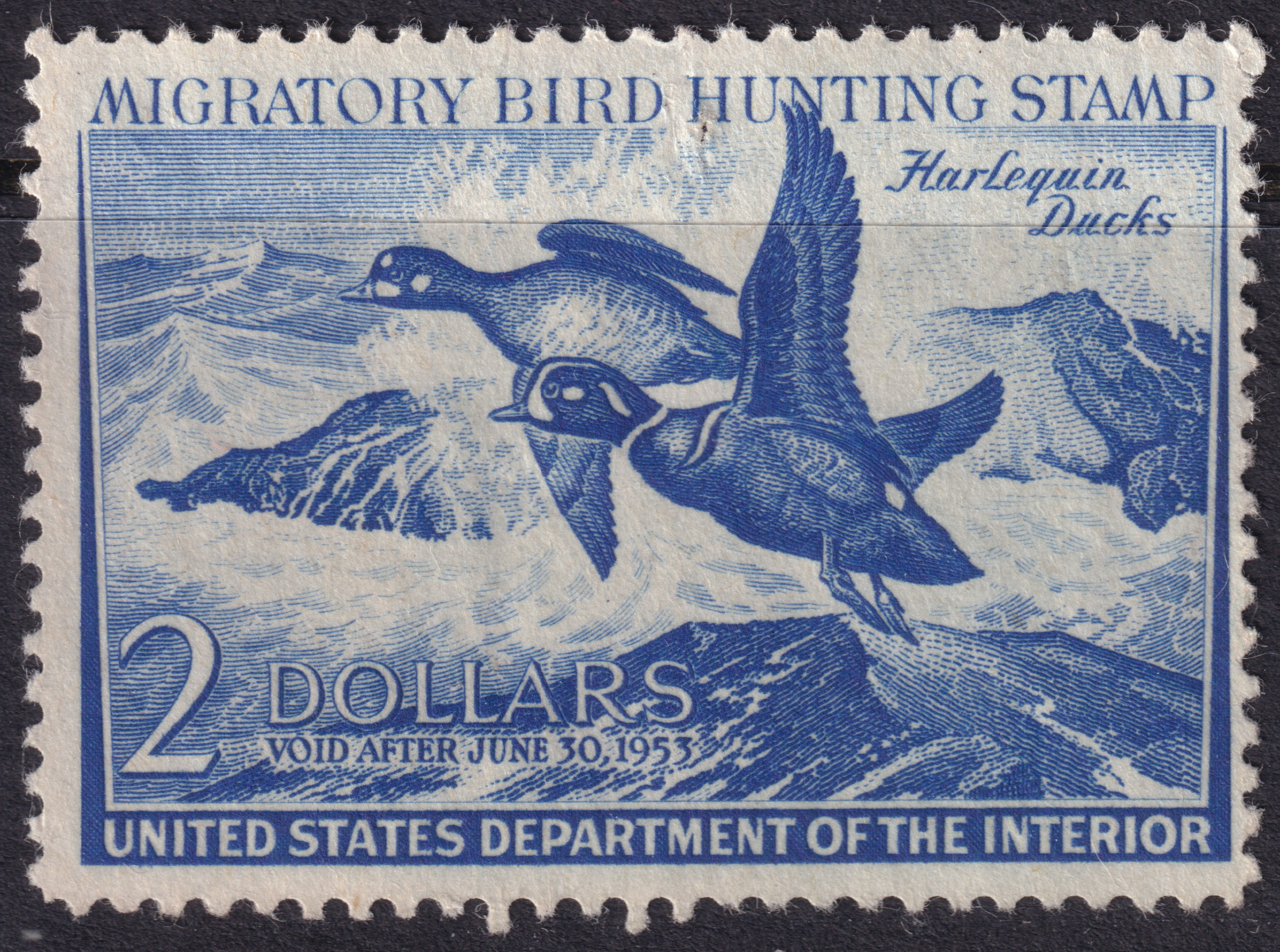 Stamp Picture