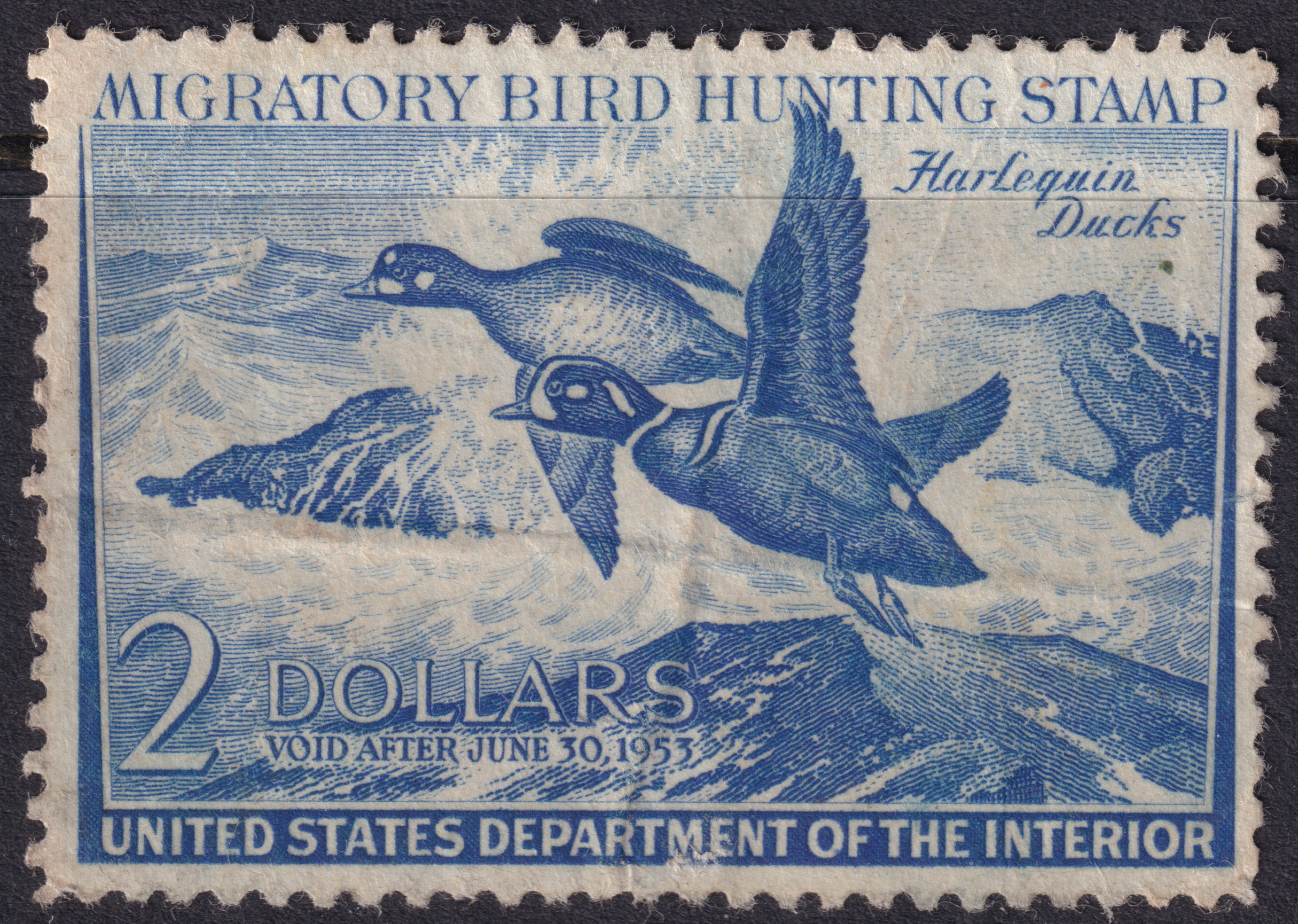 Stamp Picture