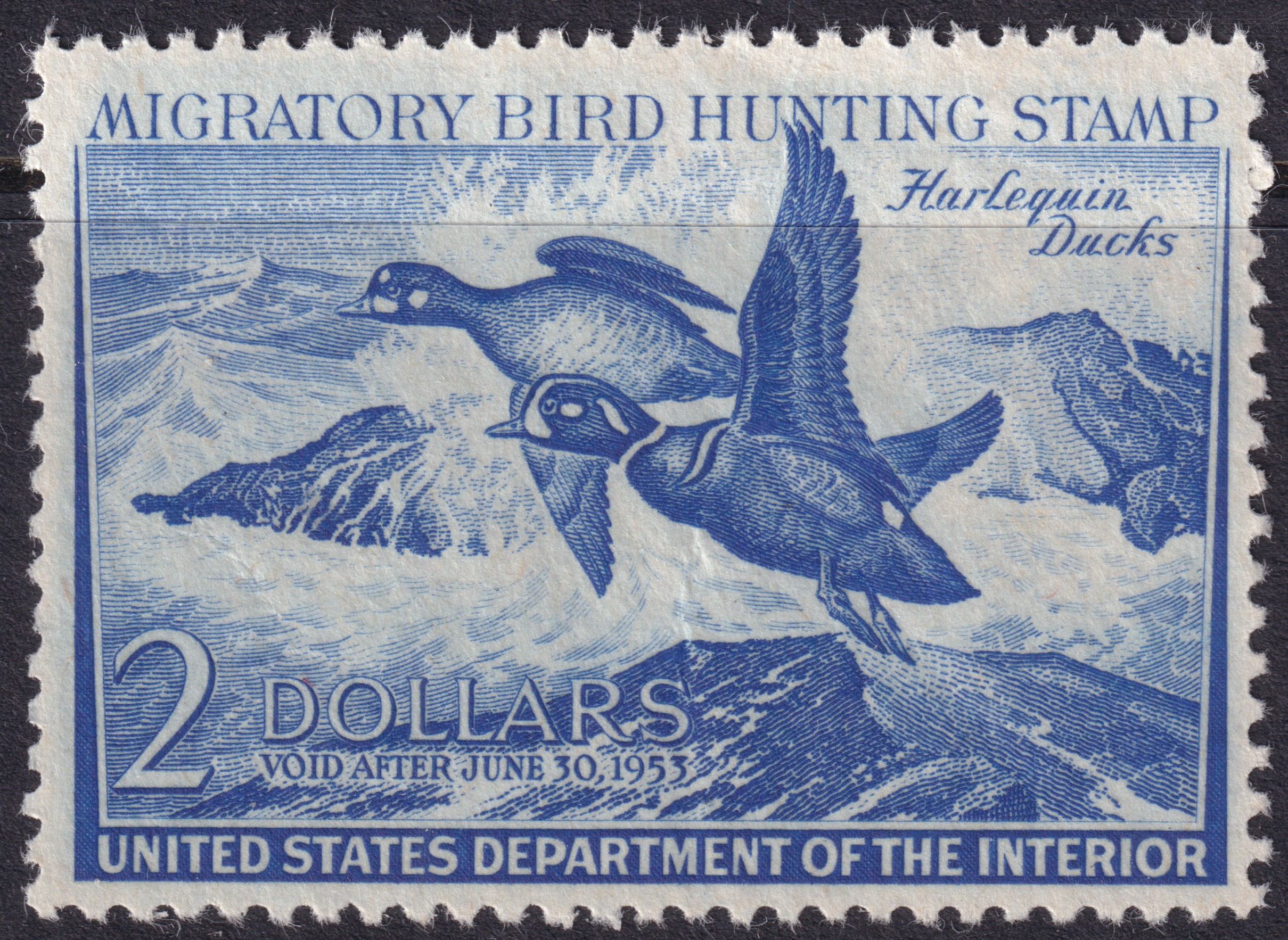 Stamp Picture