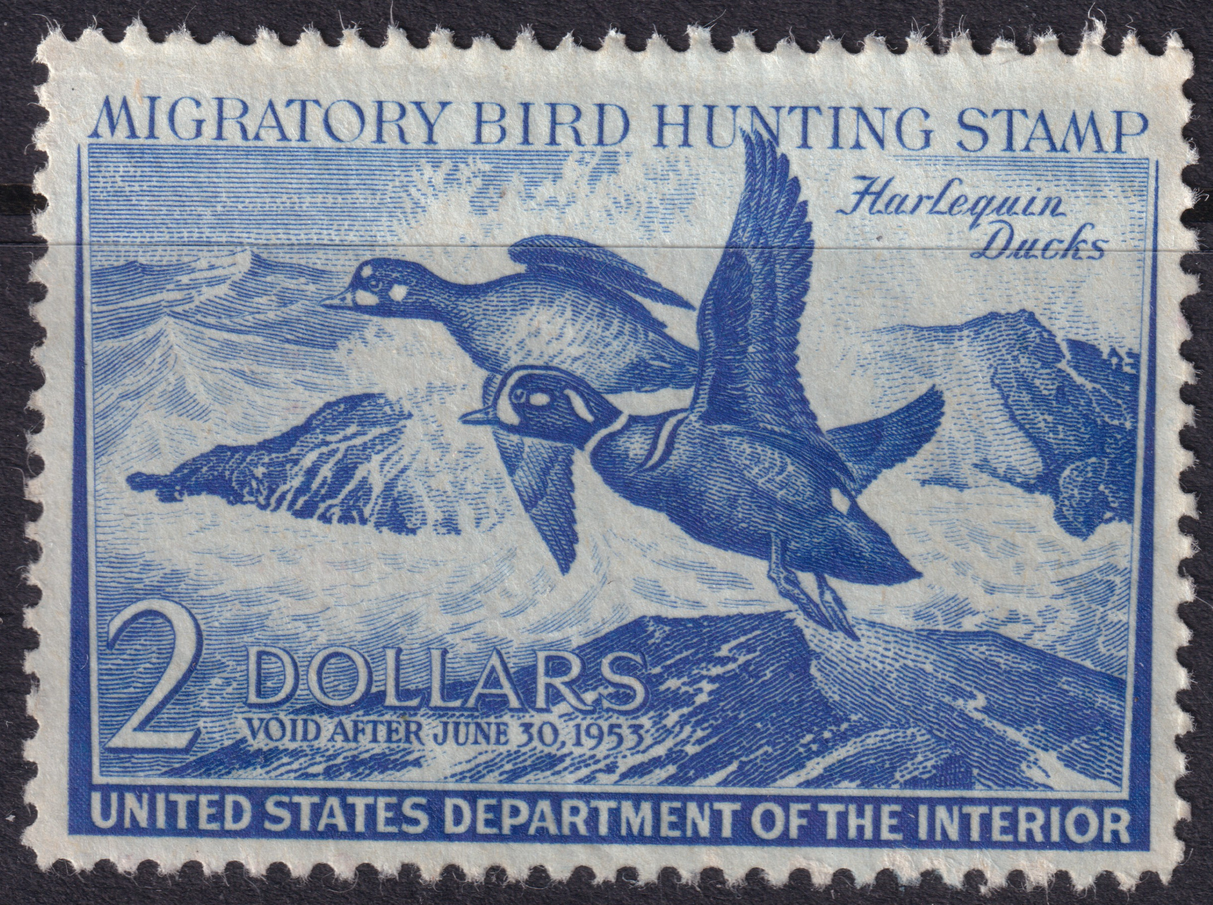 Stamp Picture