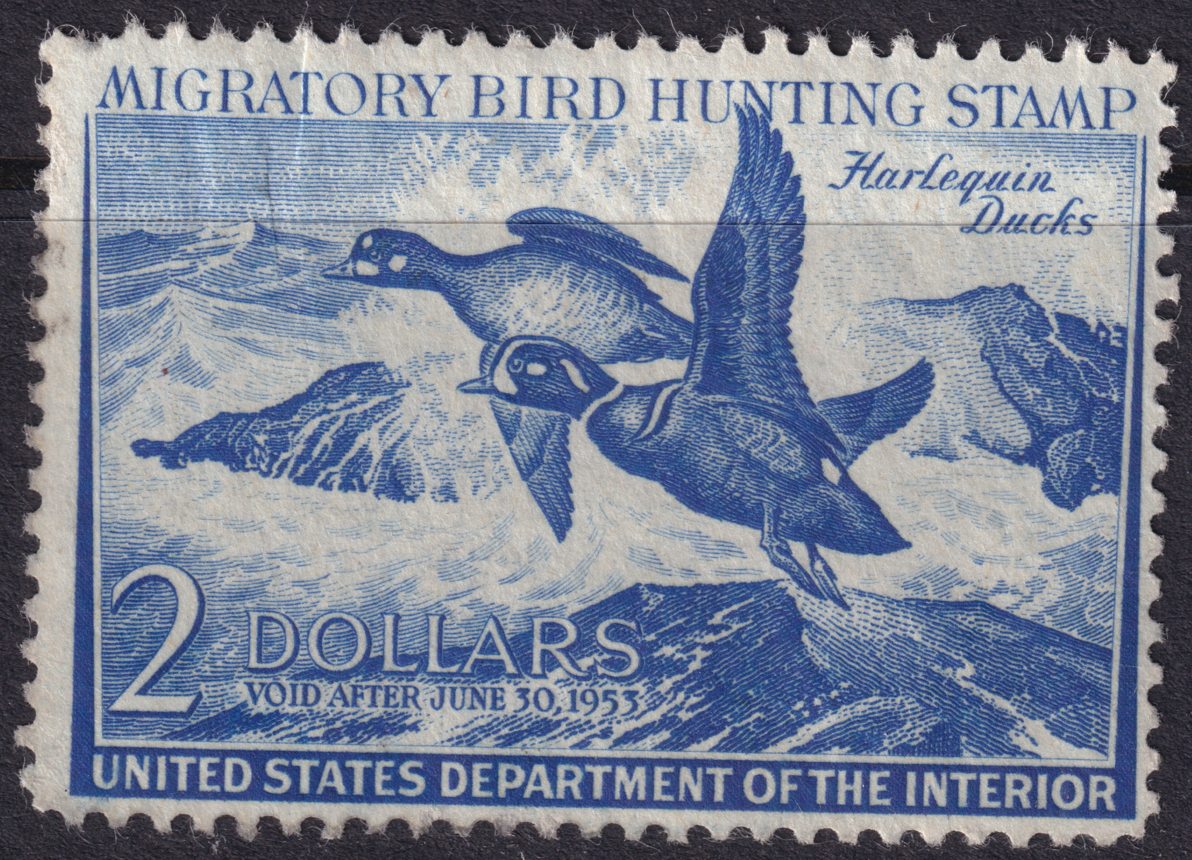 Stamp Picture