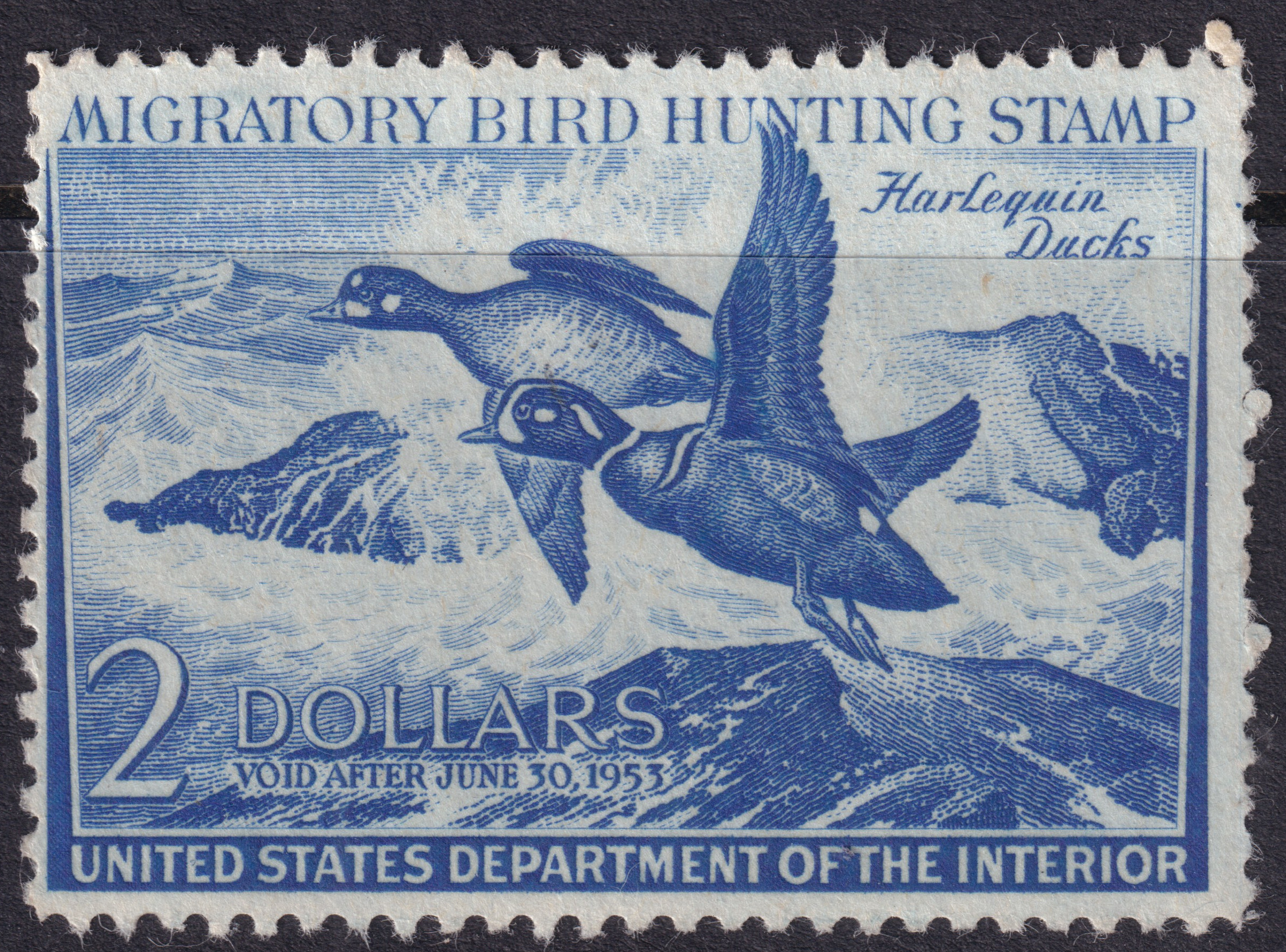 Stamp Picture