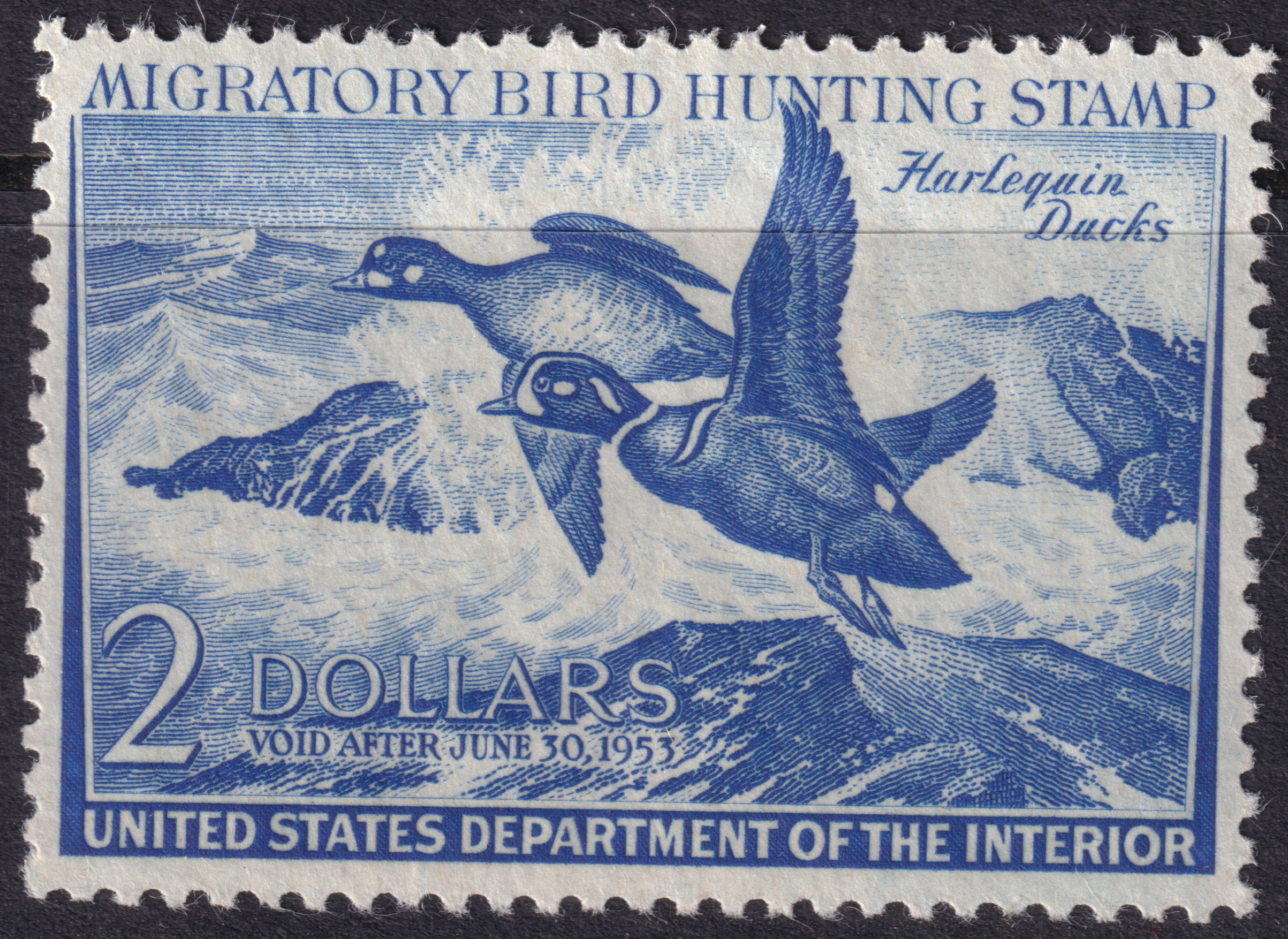 Stamp Picture
