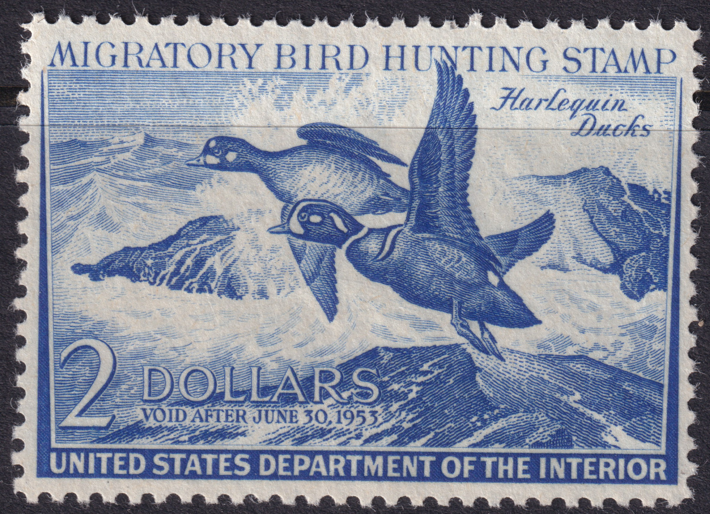 Stamp Picture