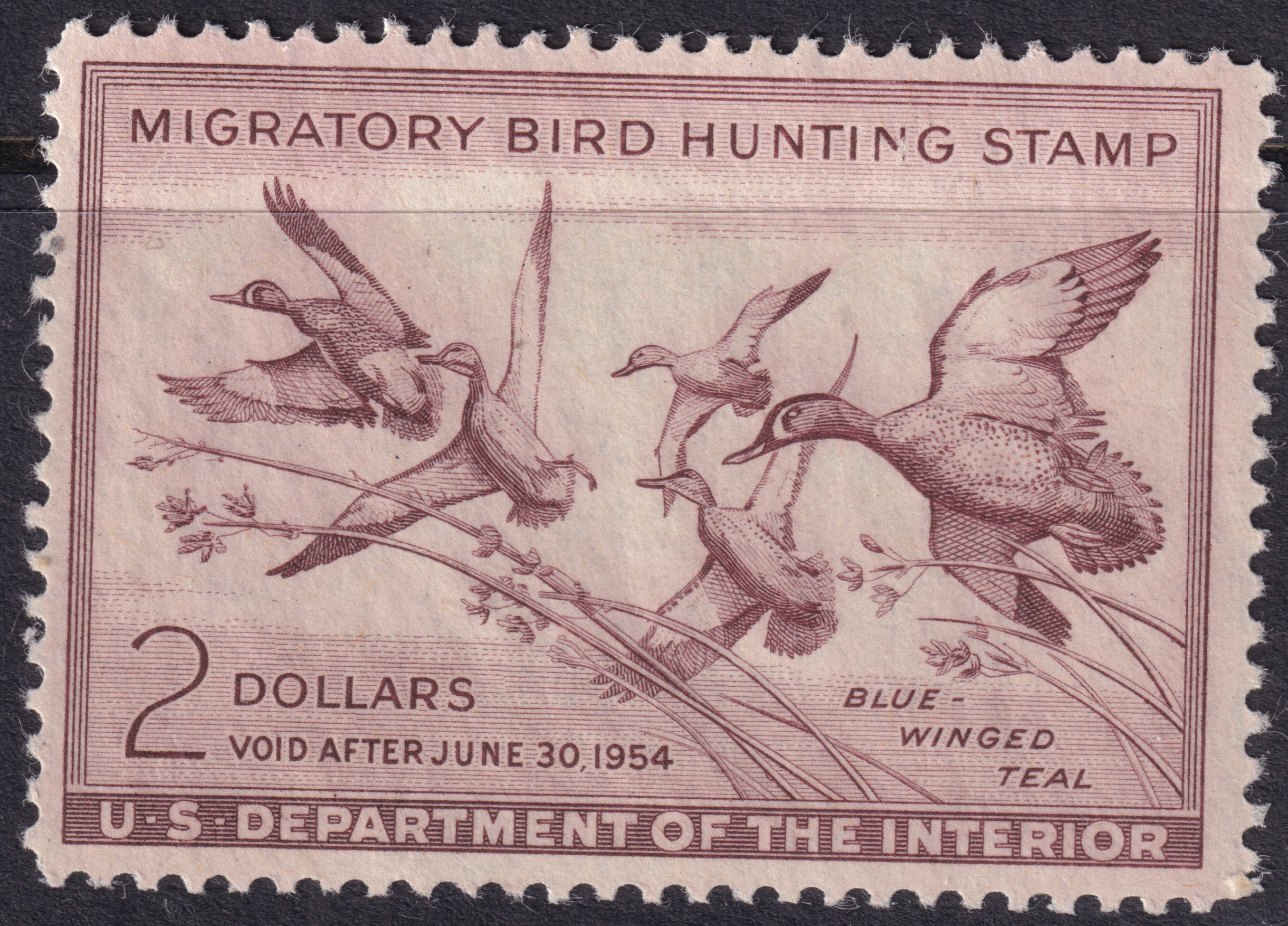 Stamp Picture