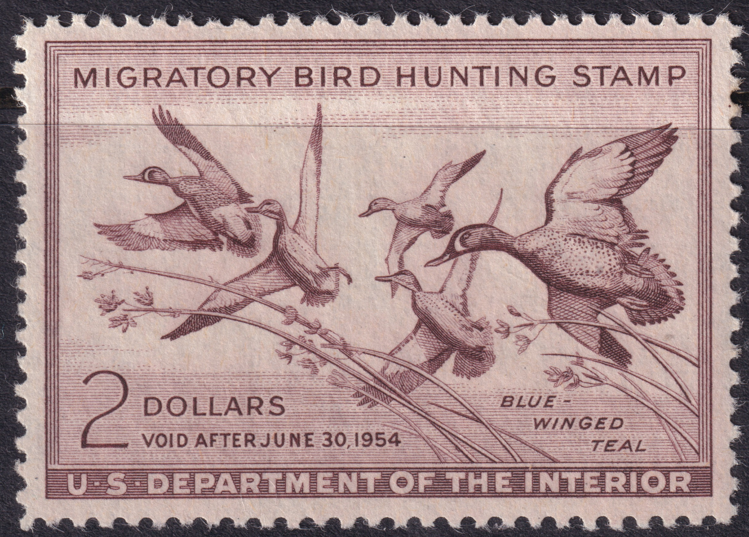 Stamp Picture