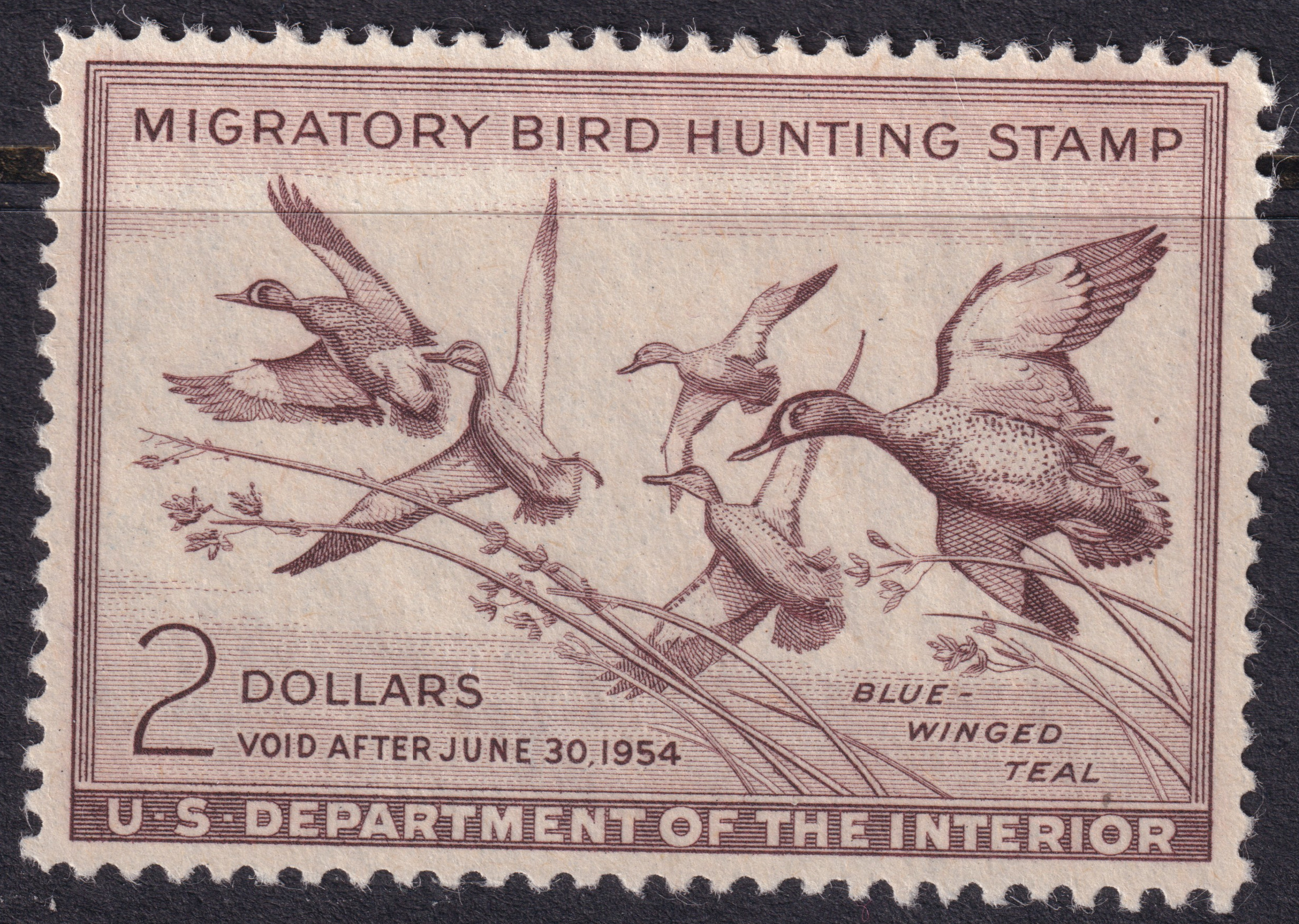 Stamp Picture