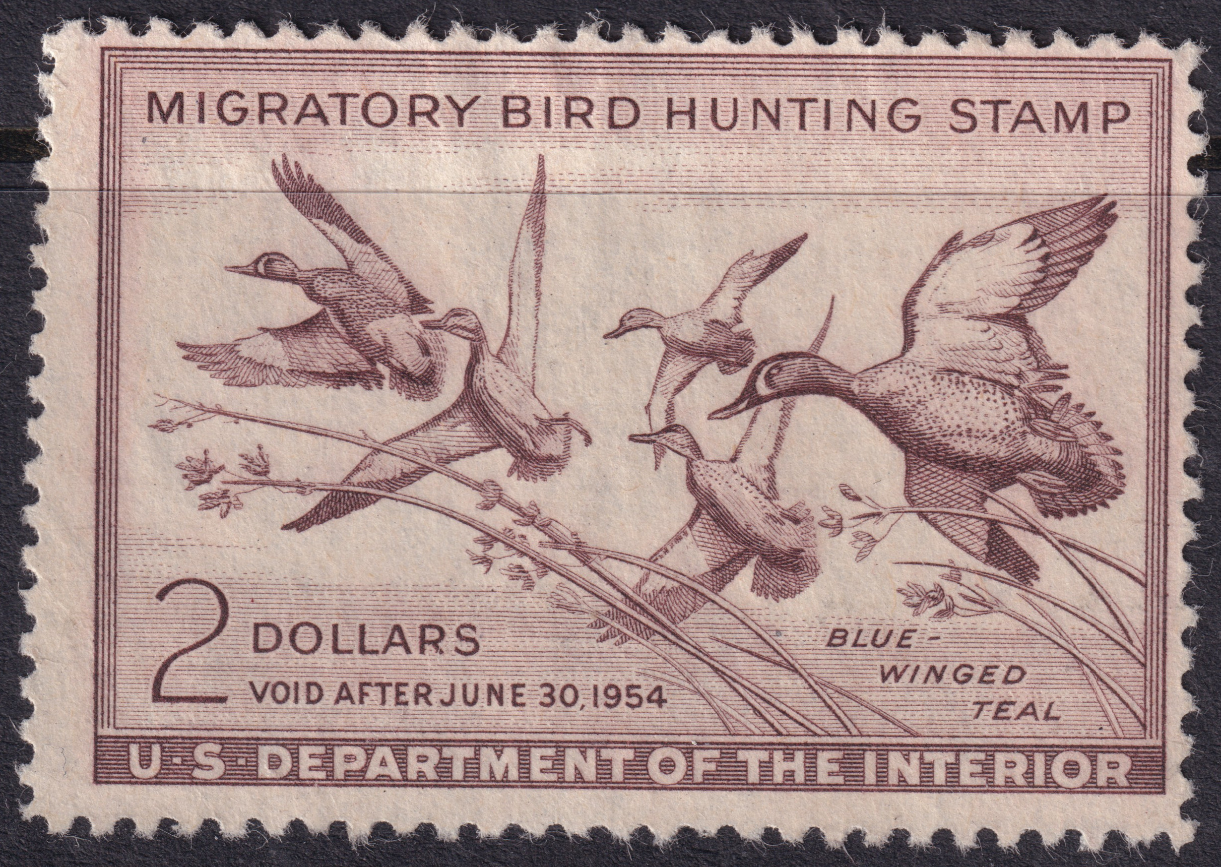 Stamp Picture