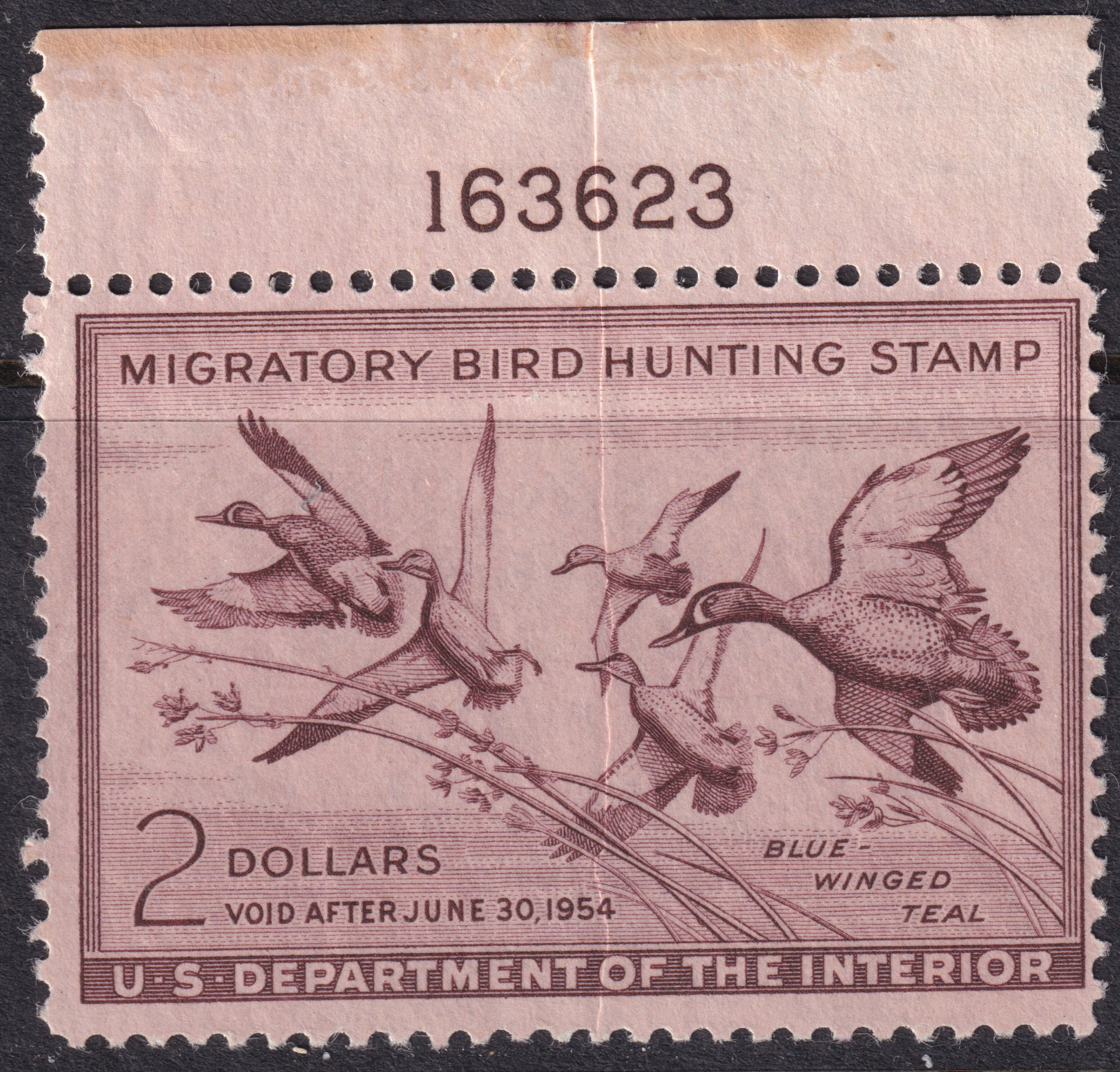 Stamp Picture