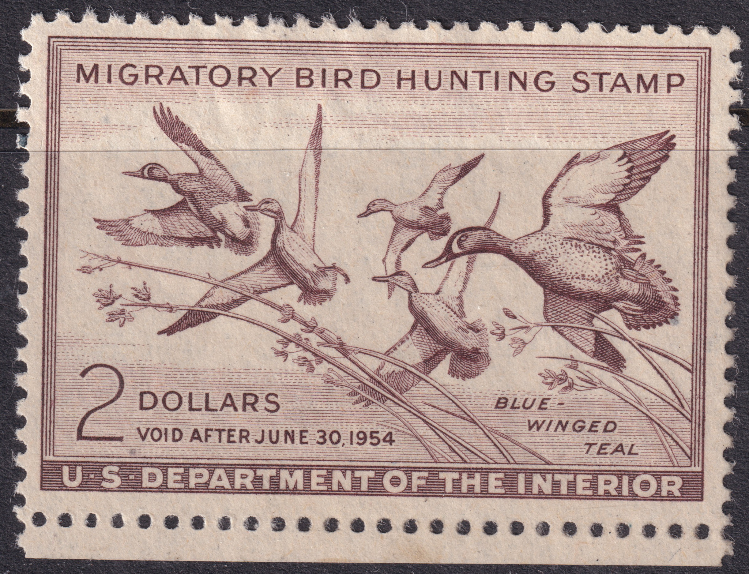 Stamp Picture