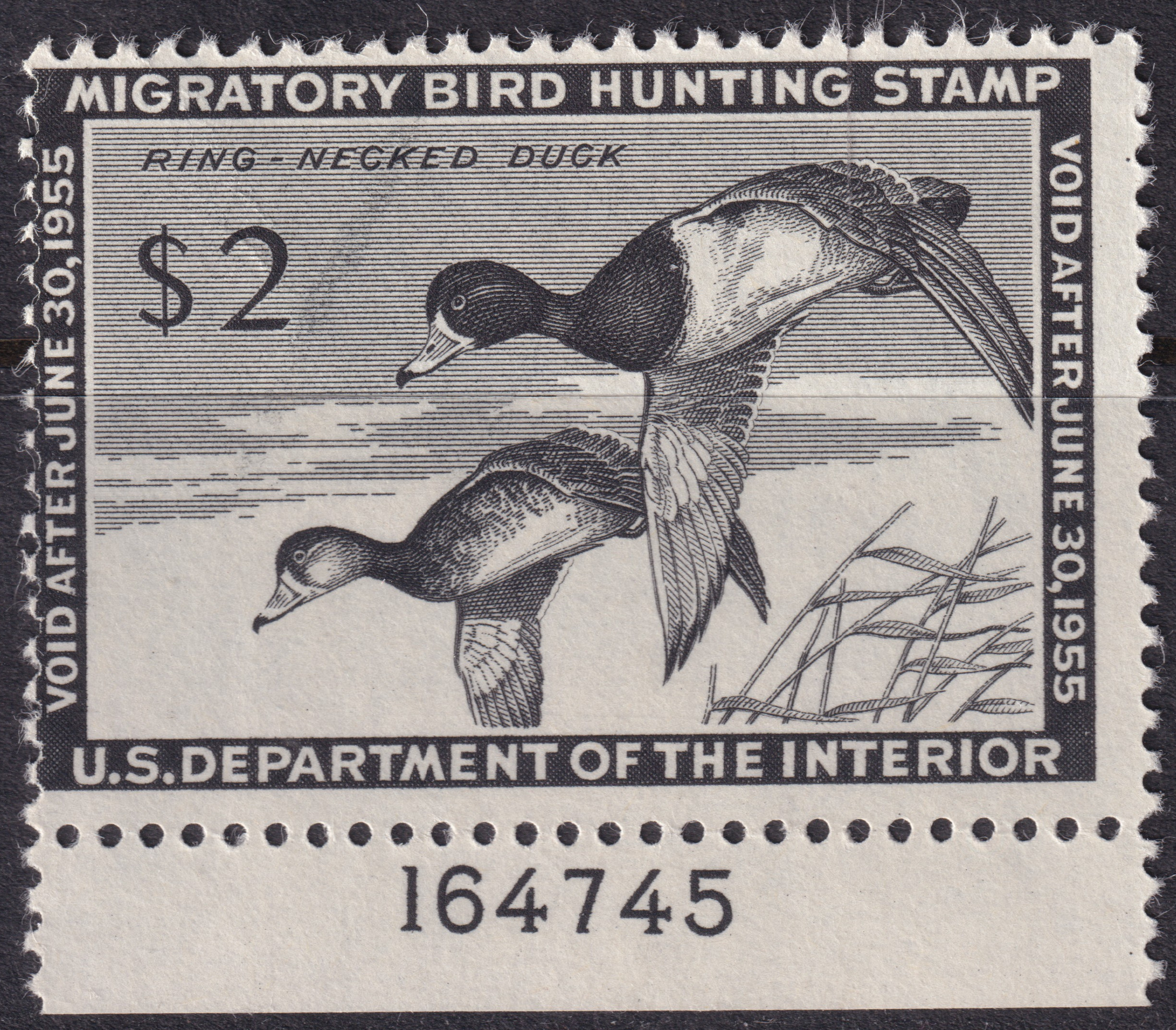 Stamp Picture