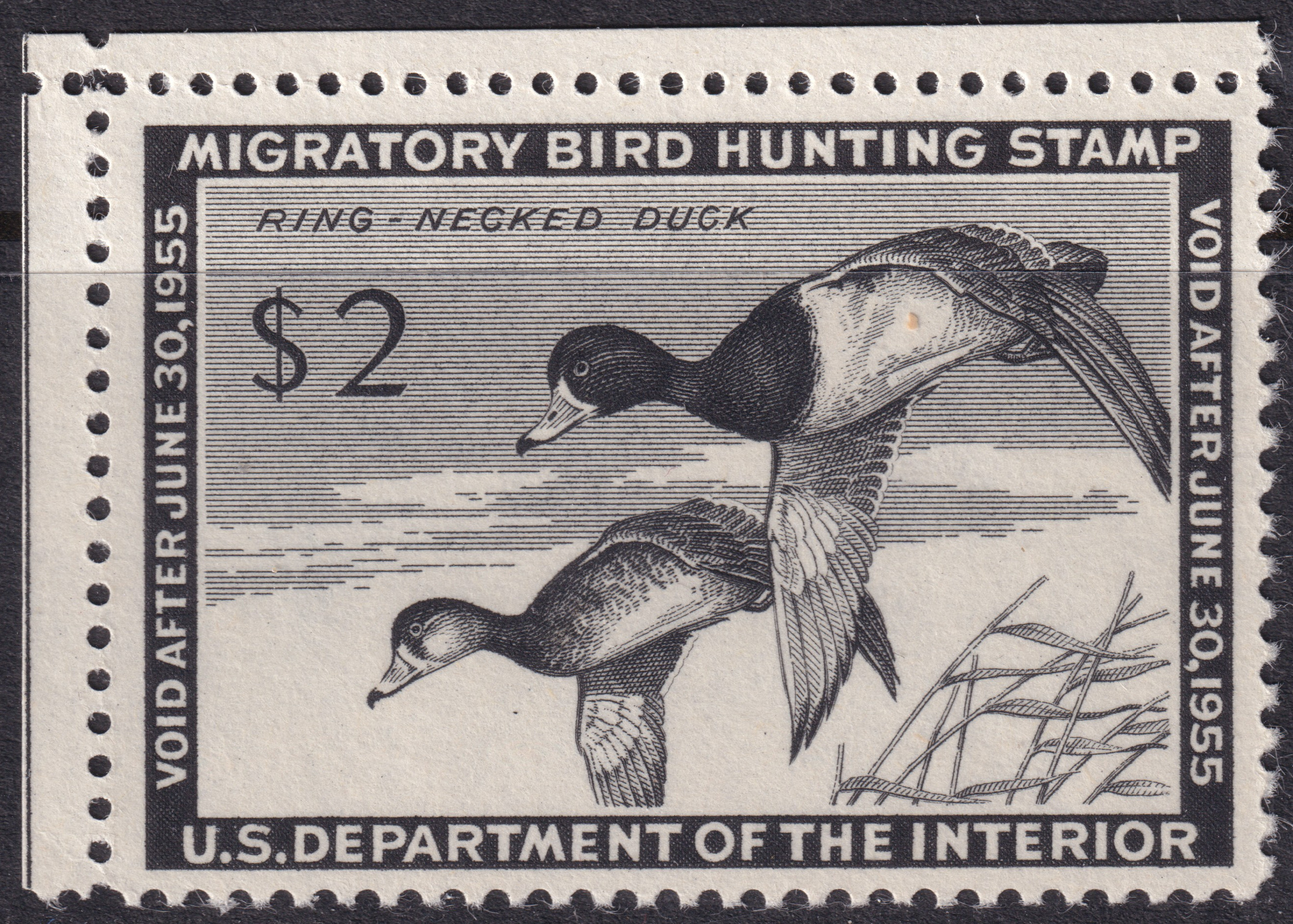 Stamp Picture
