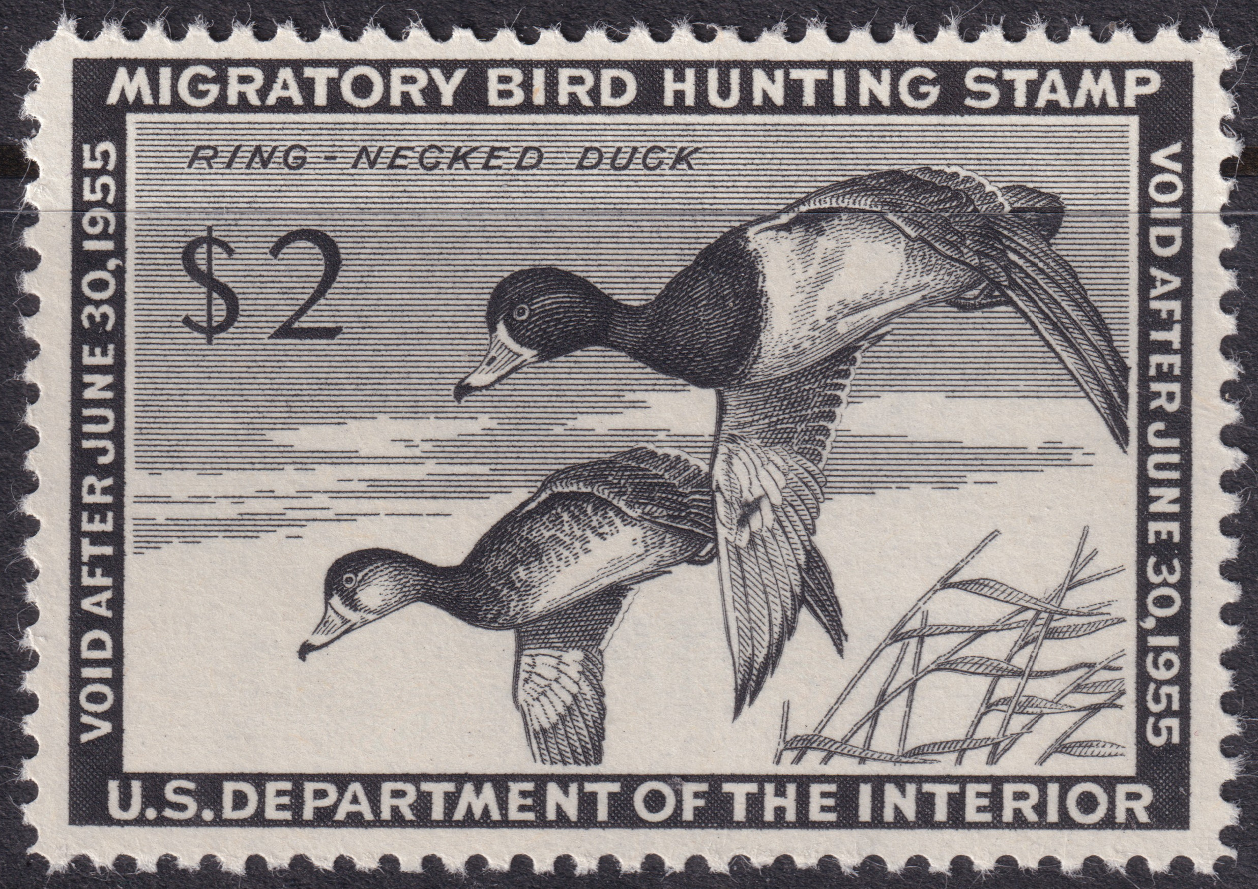 Stamp Picture