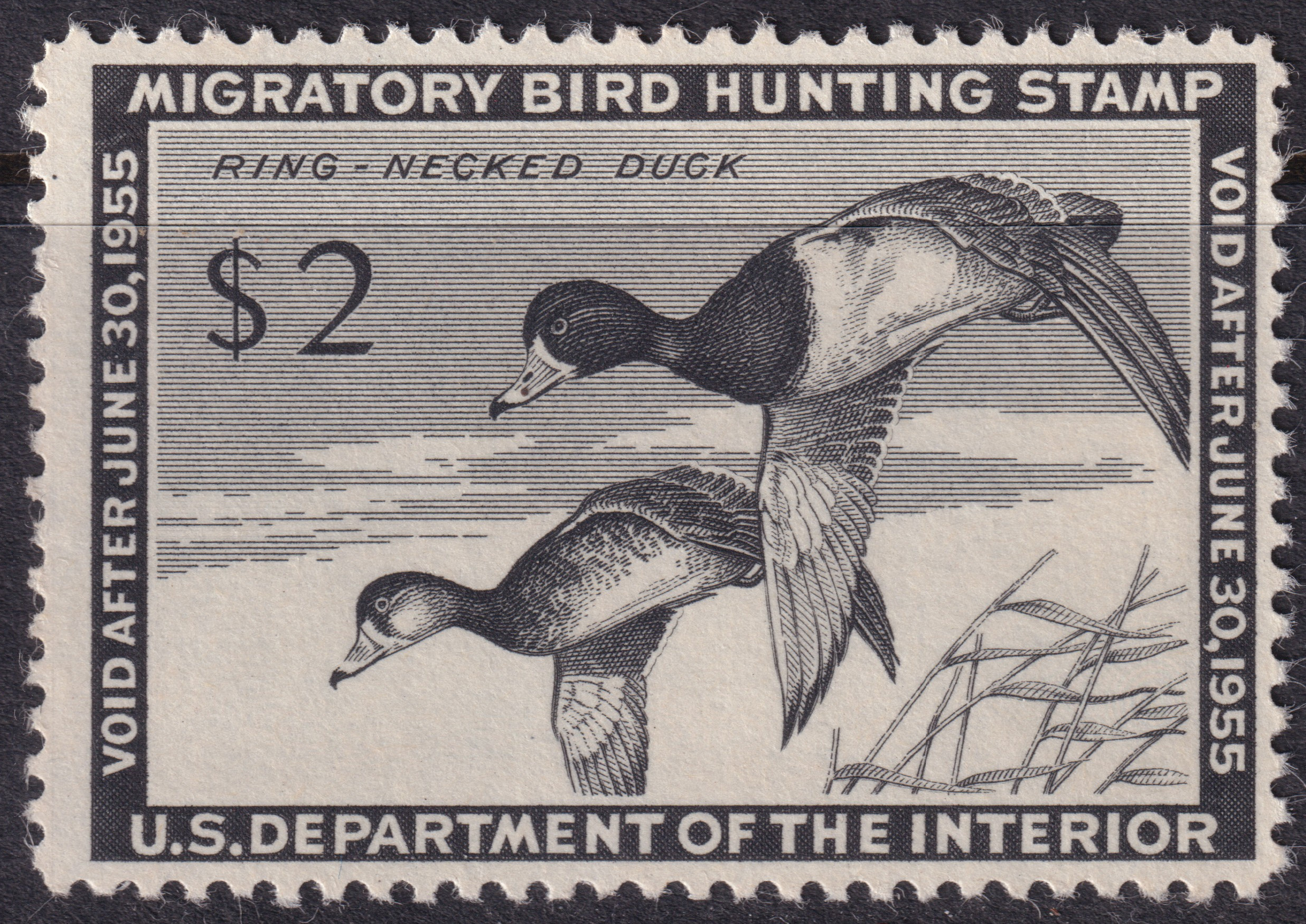 Stamp Picture