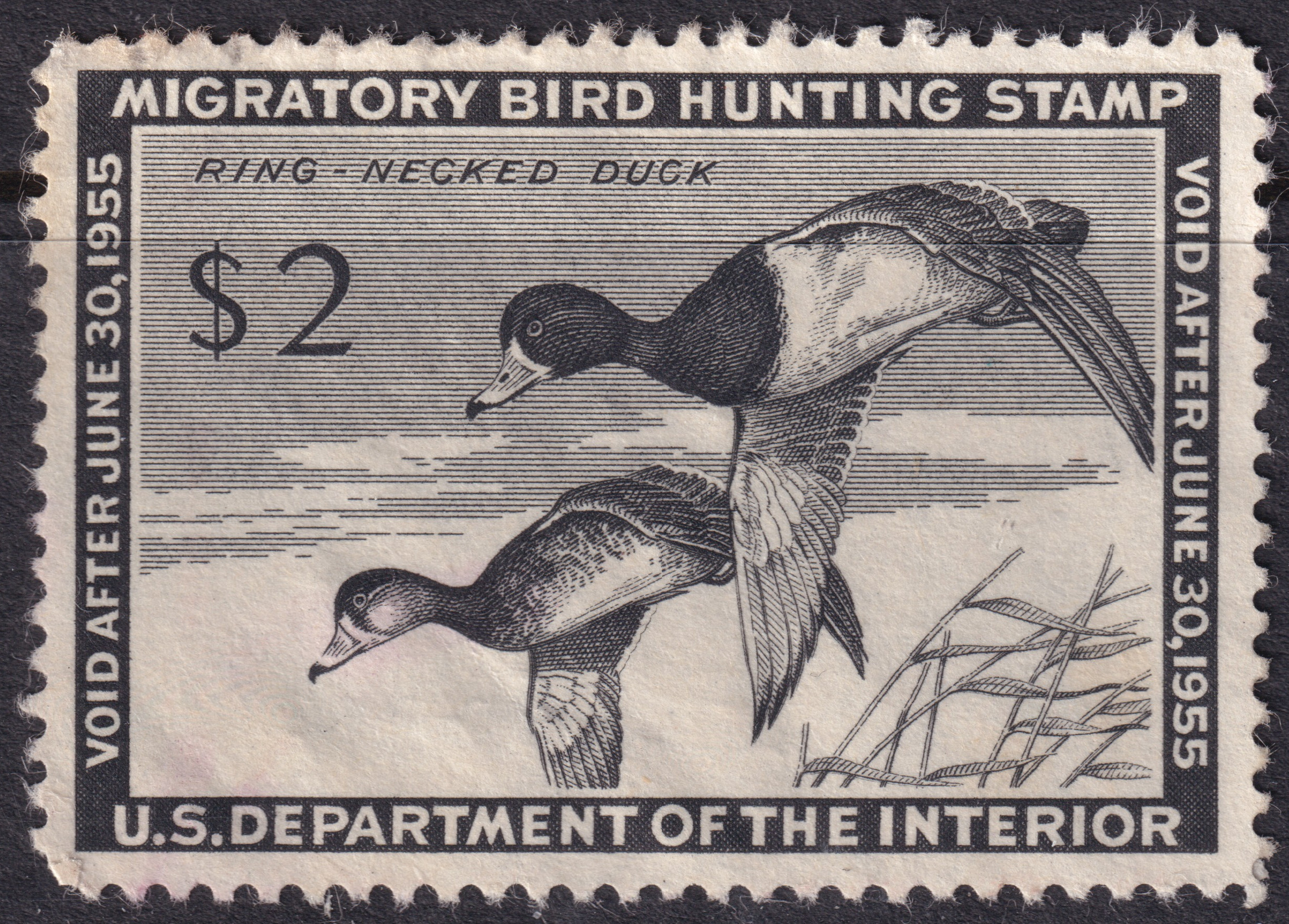 Stamp Picture