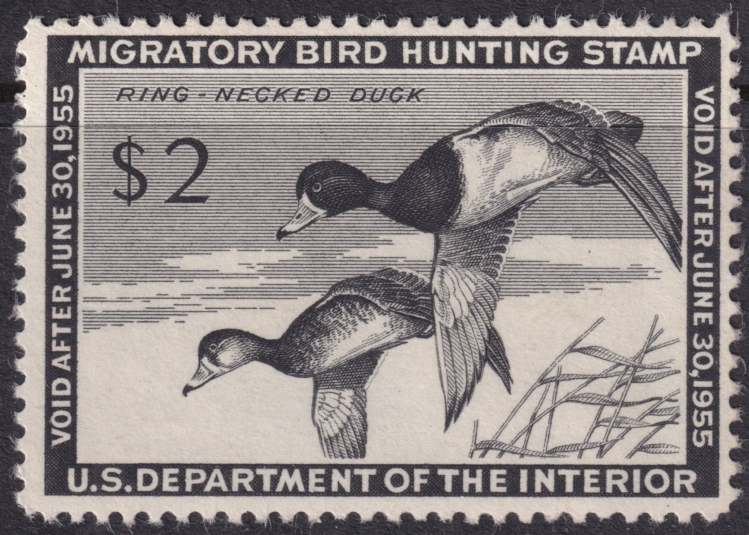 Stamp Picture