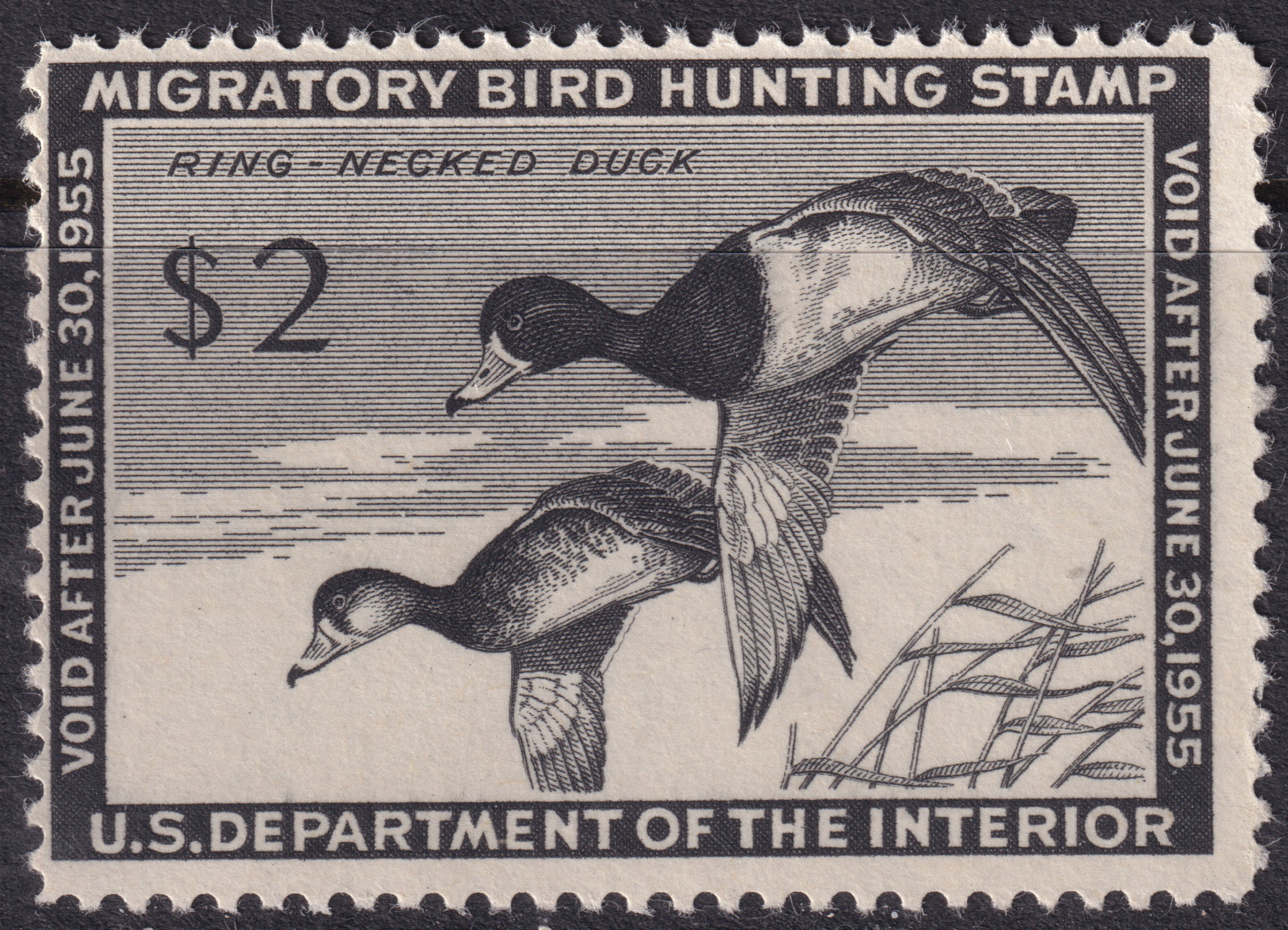 Stamp Picture