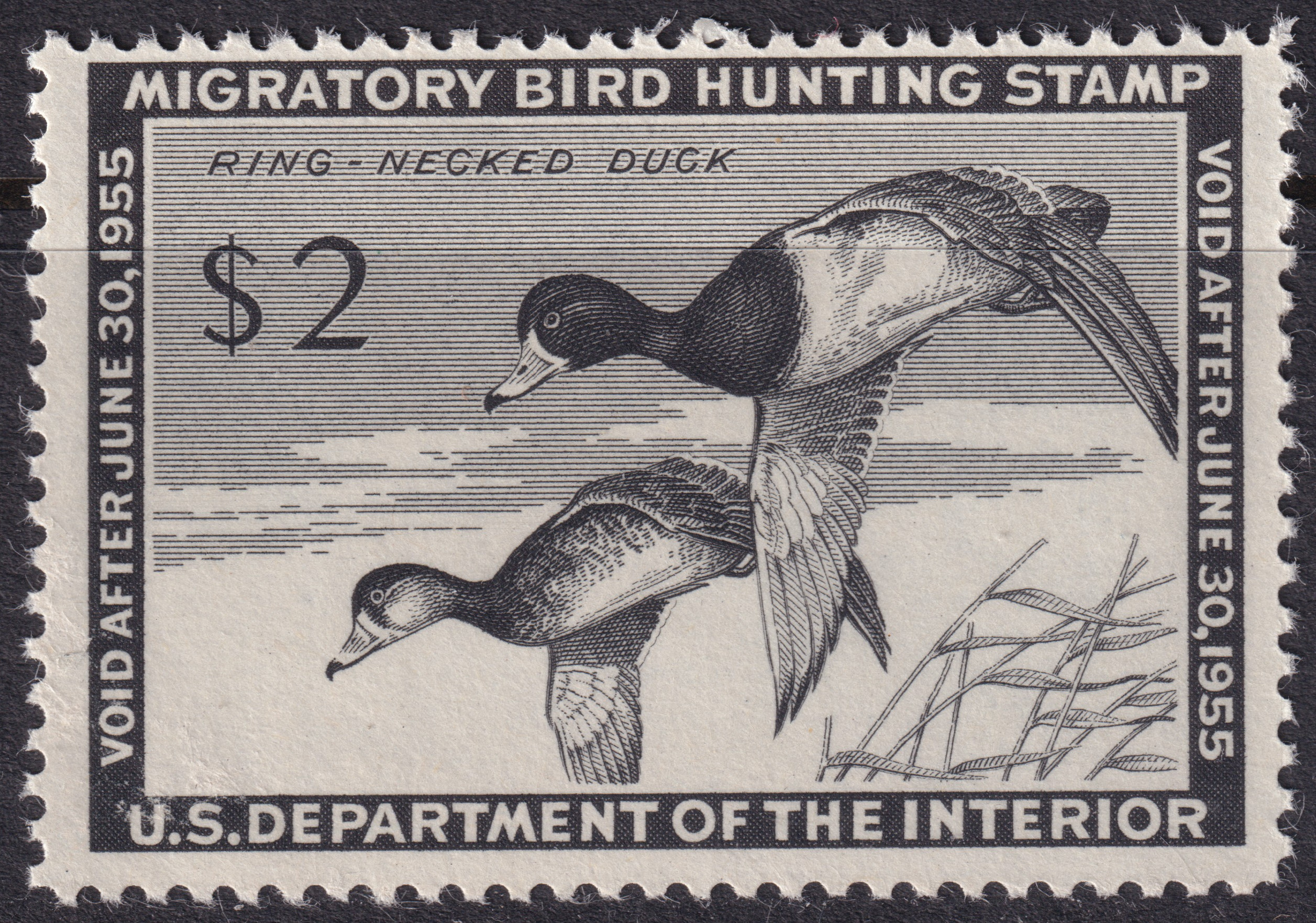Stamp Picture