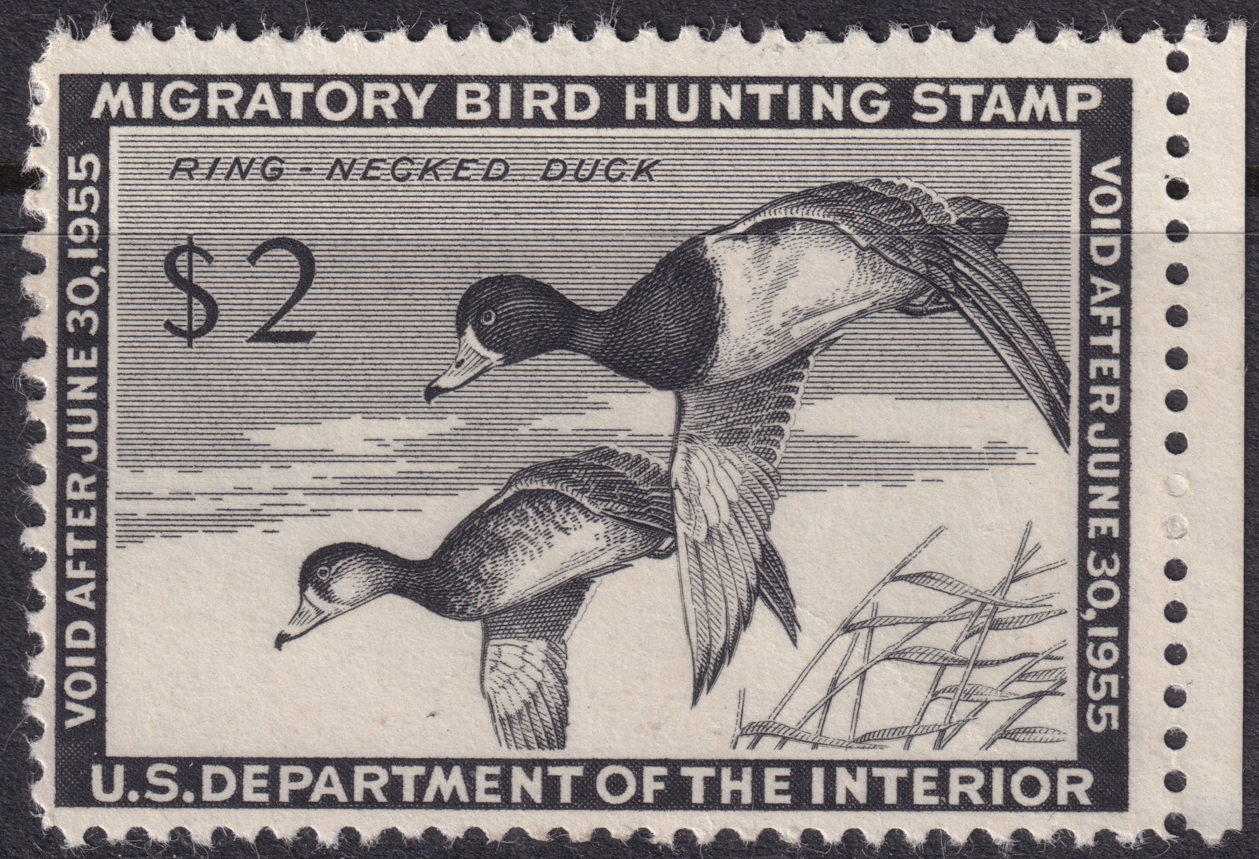 Stamp Picture