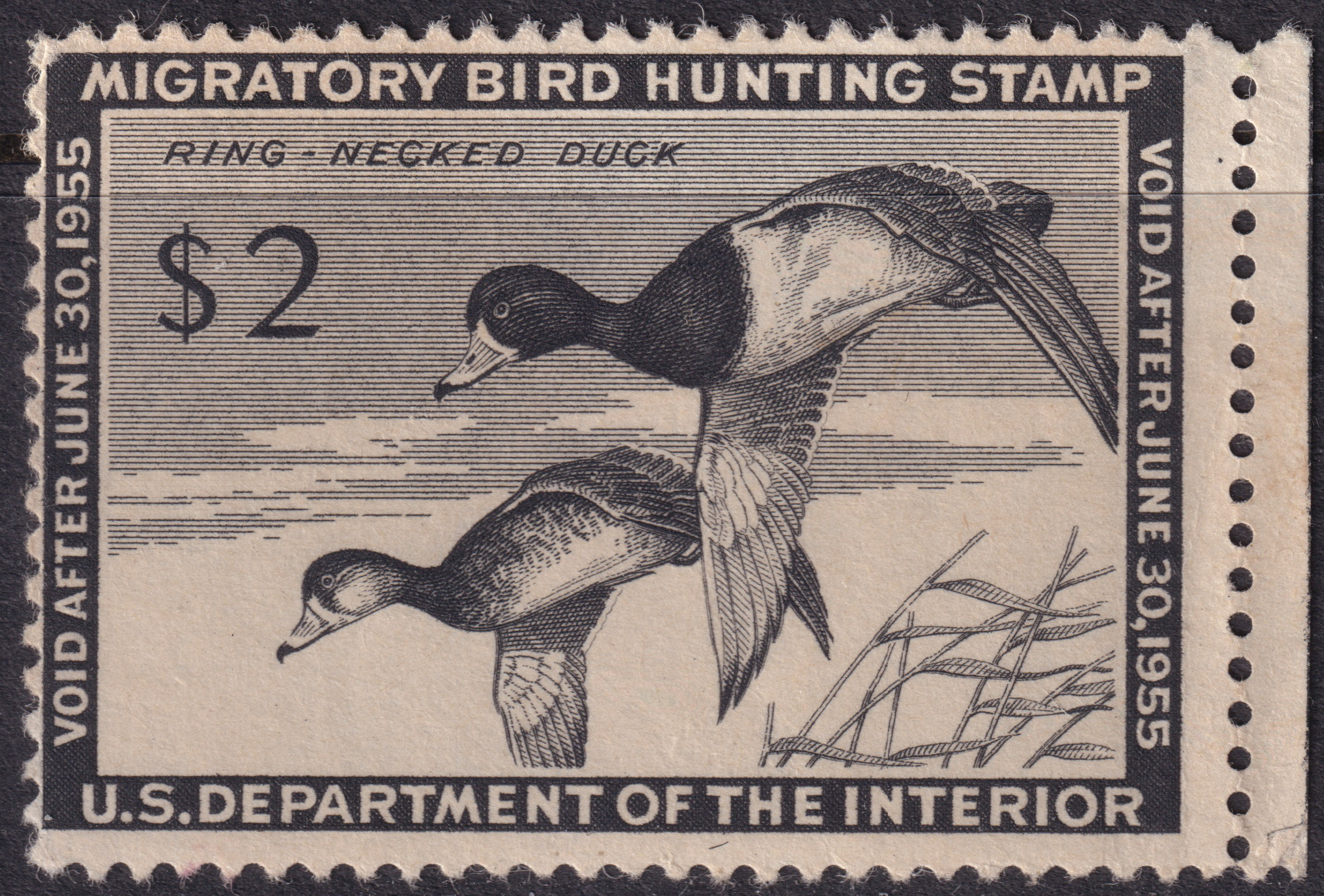 Stamp Picture