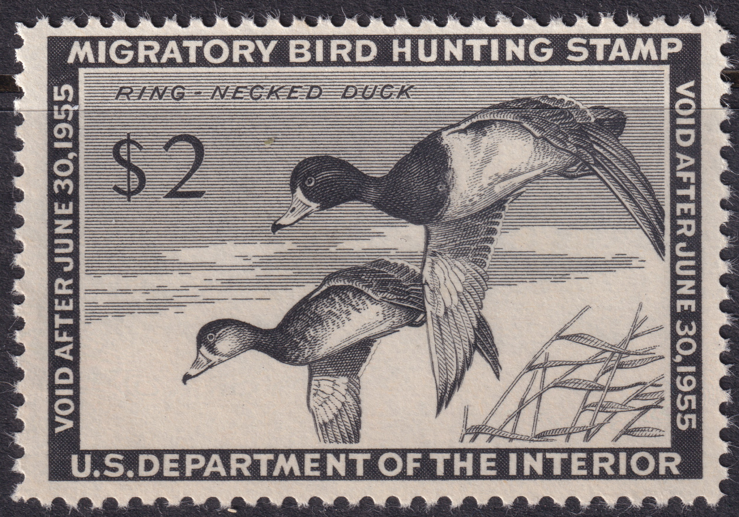 Stamp Picture