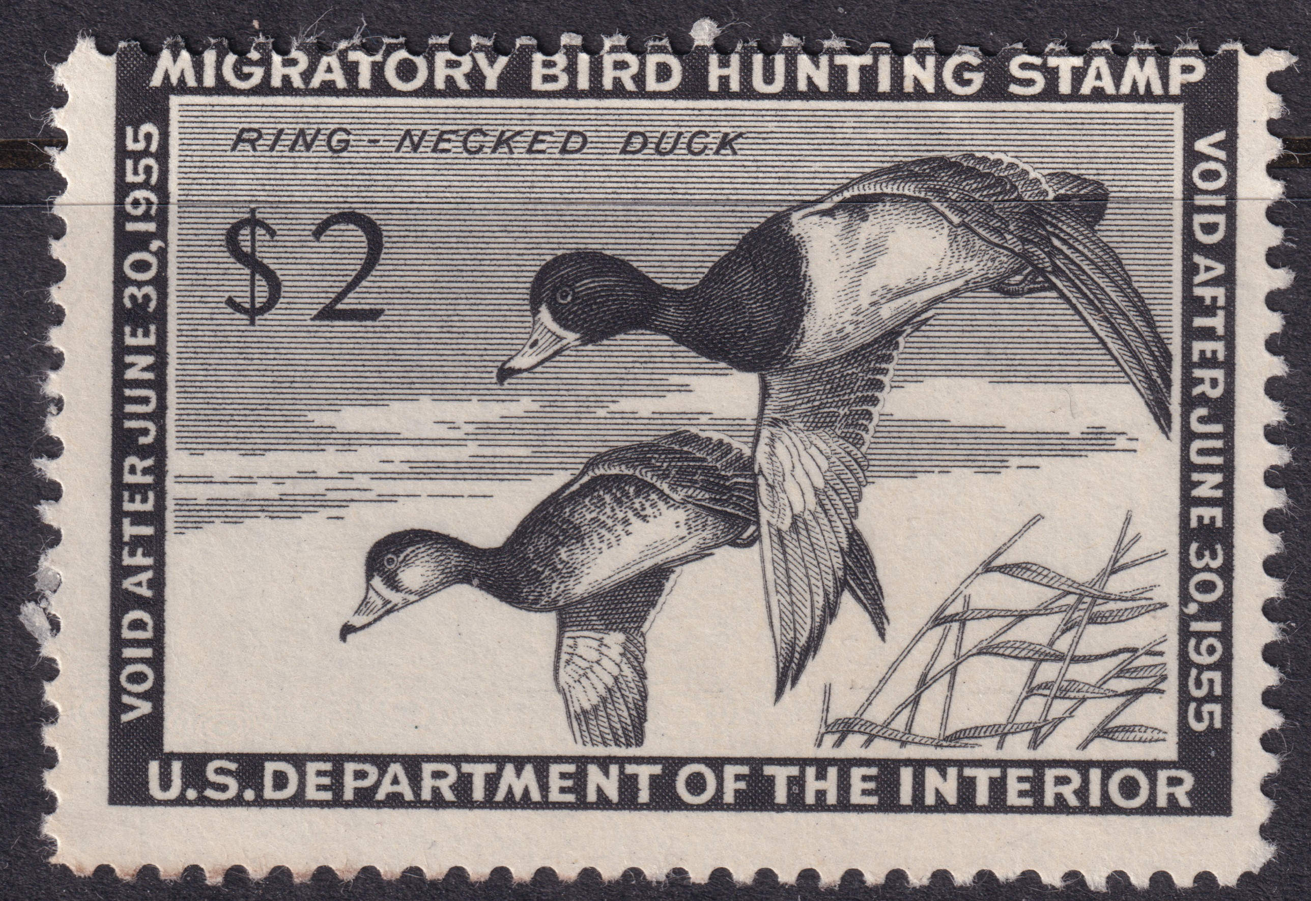 Stamp Picture