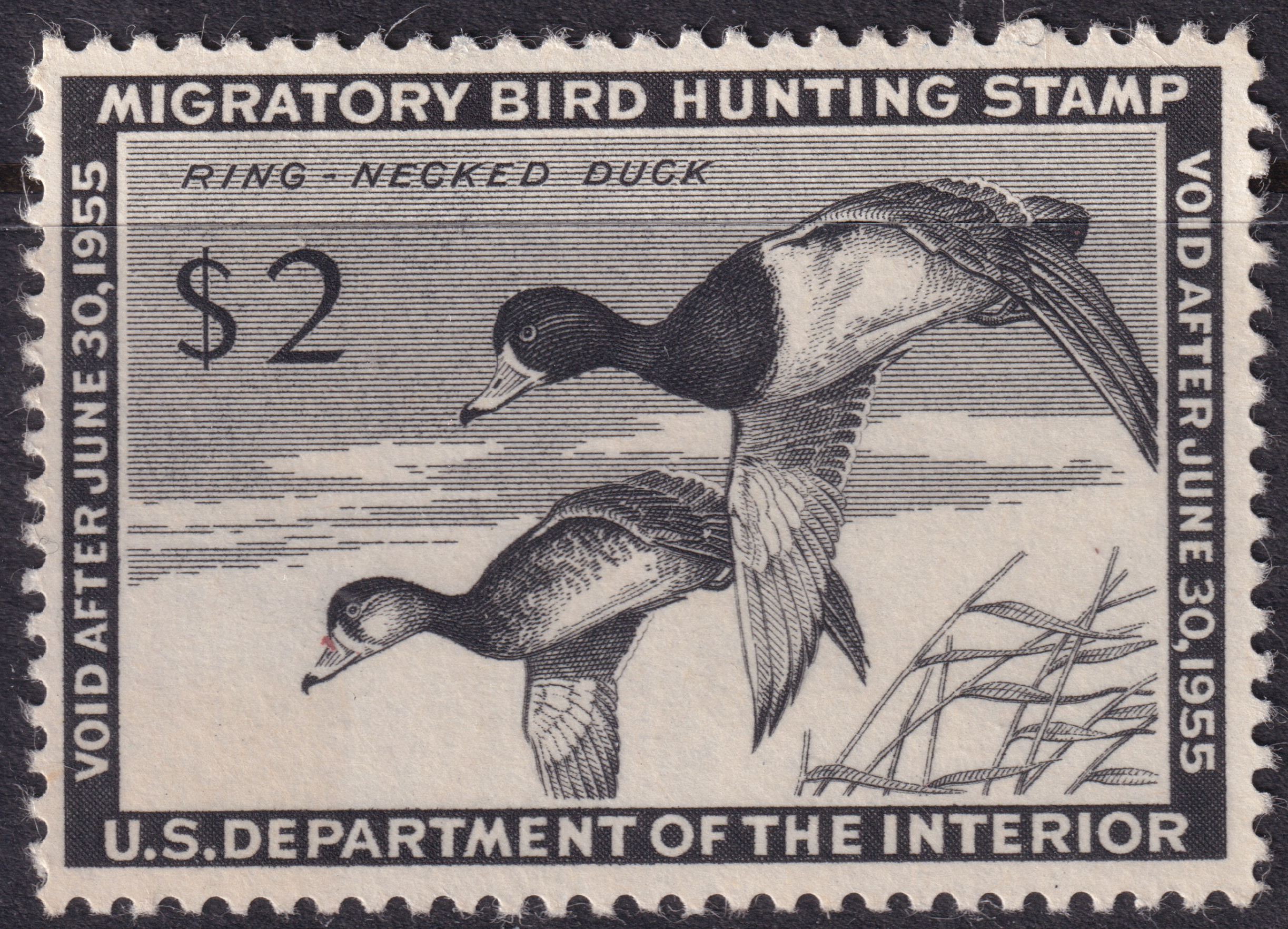 Stamp Picture