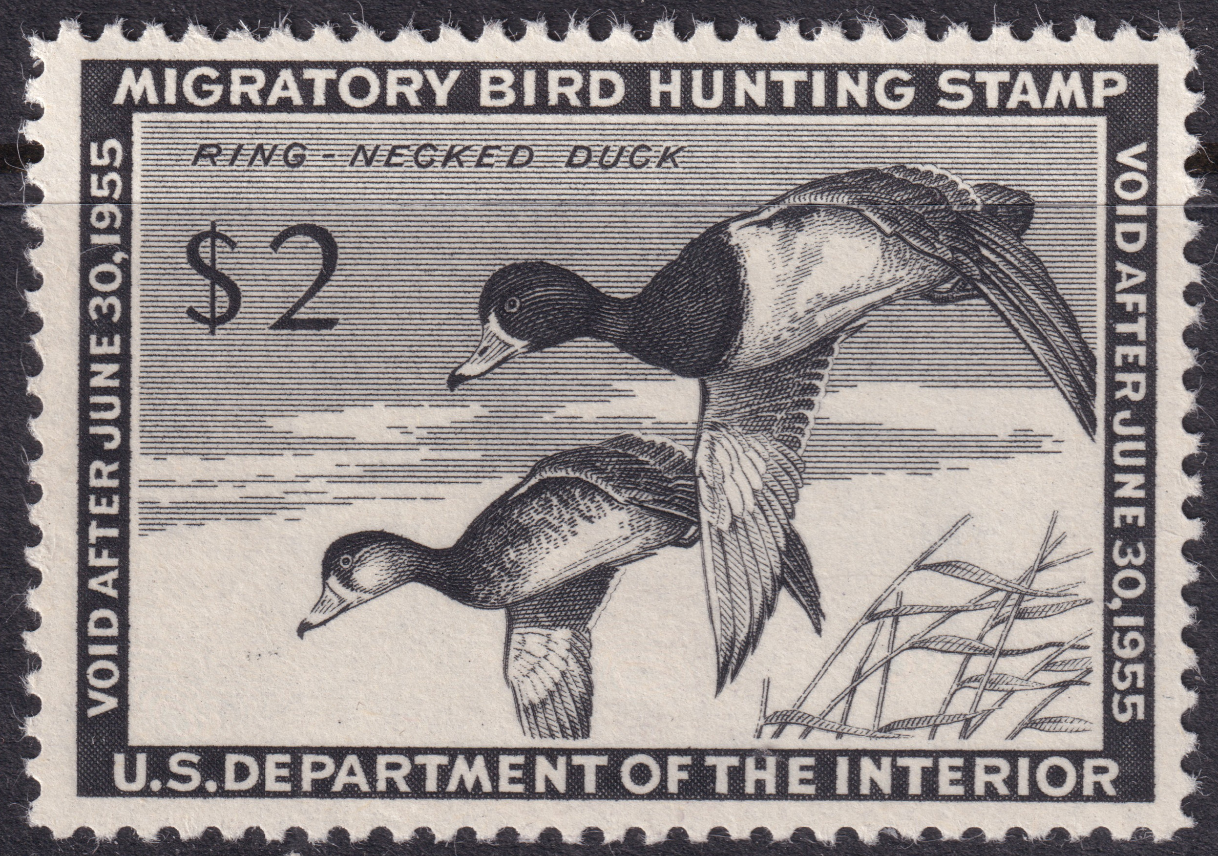 Stamp Picture