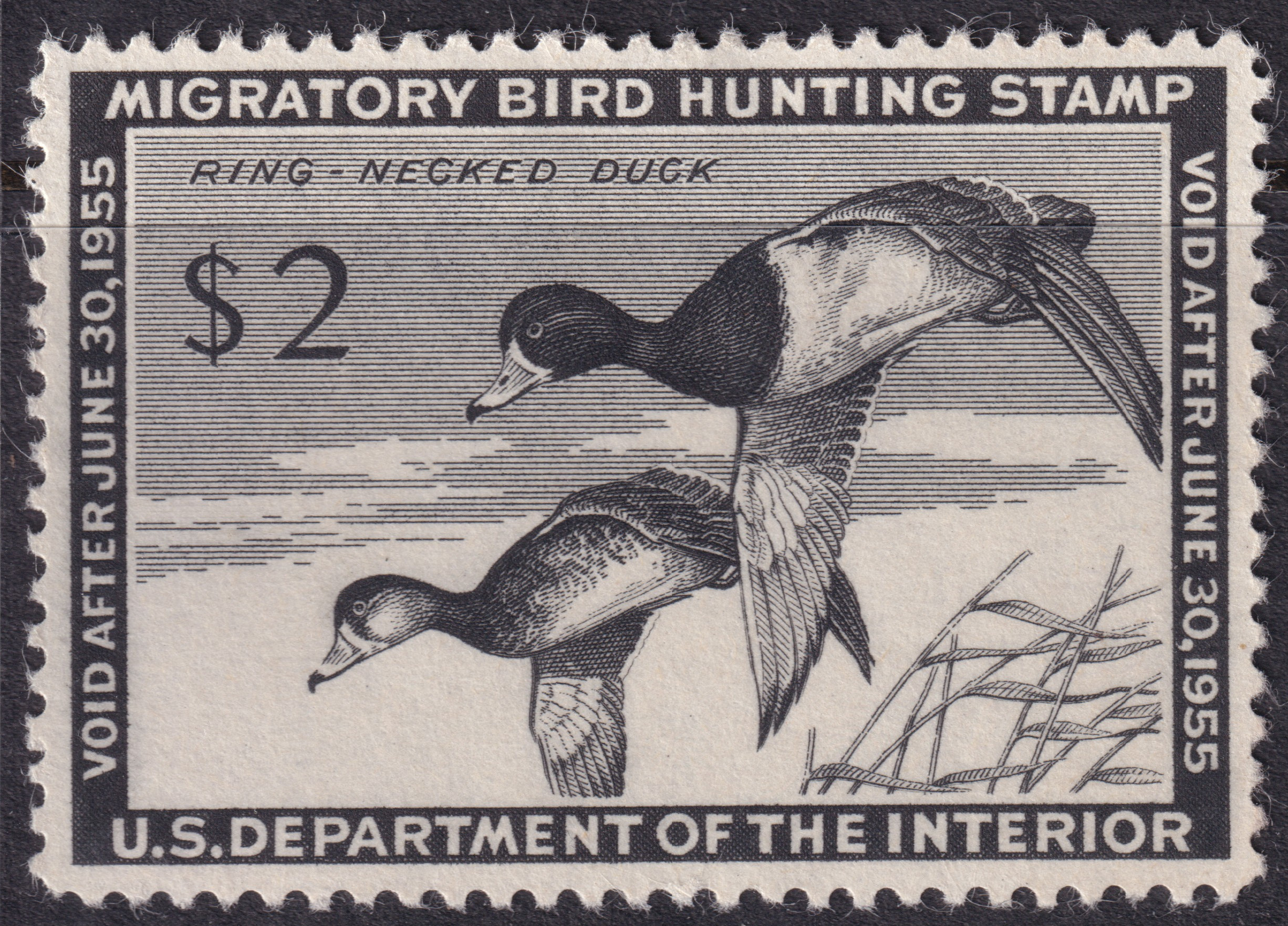 Stamp Picture