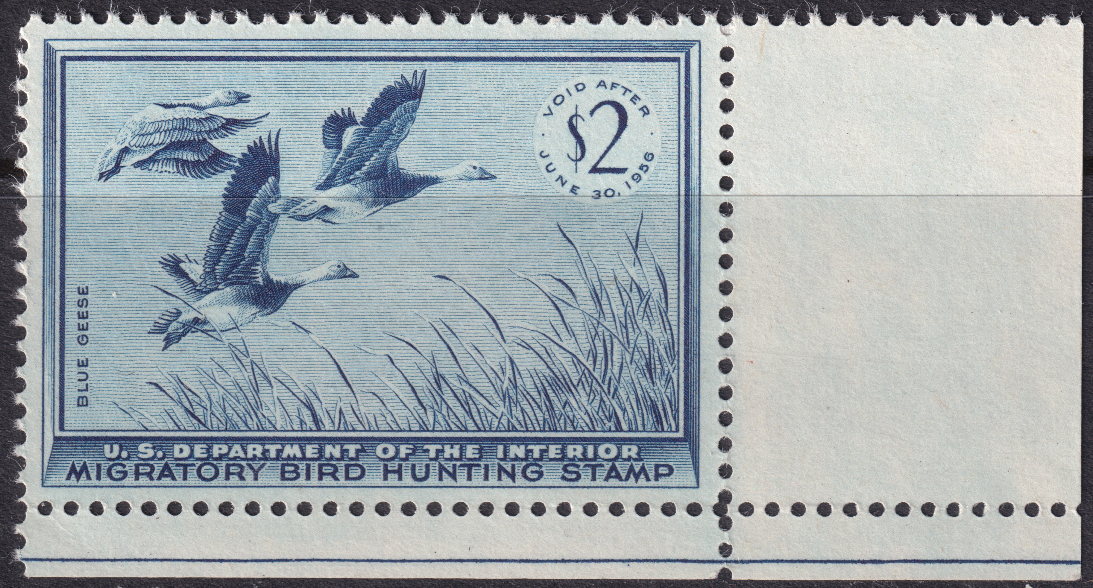 Stamp Picture
