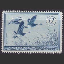 Picture of Lot #55242