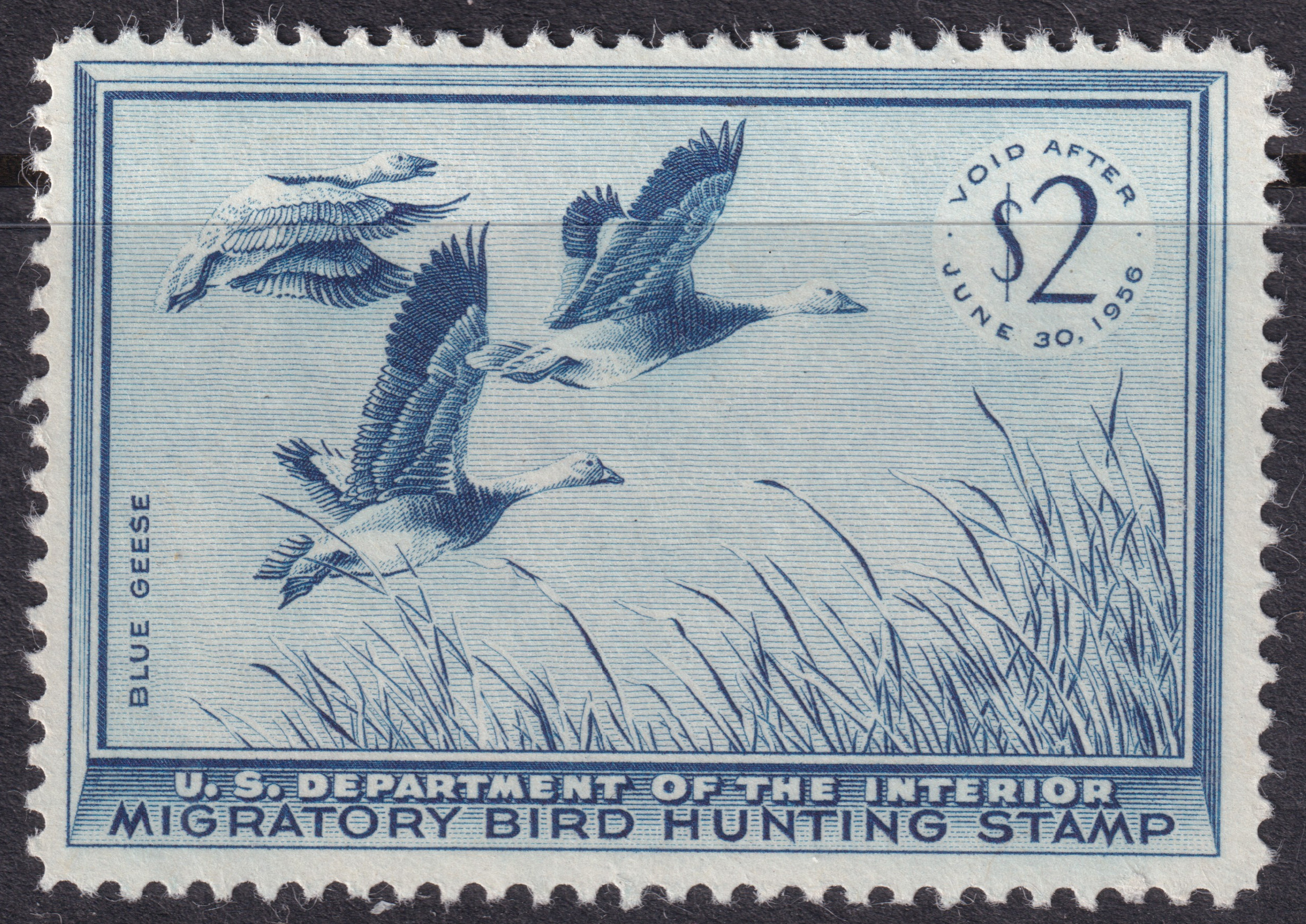 Stamp Picture