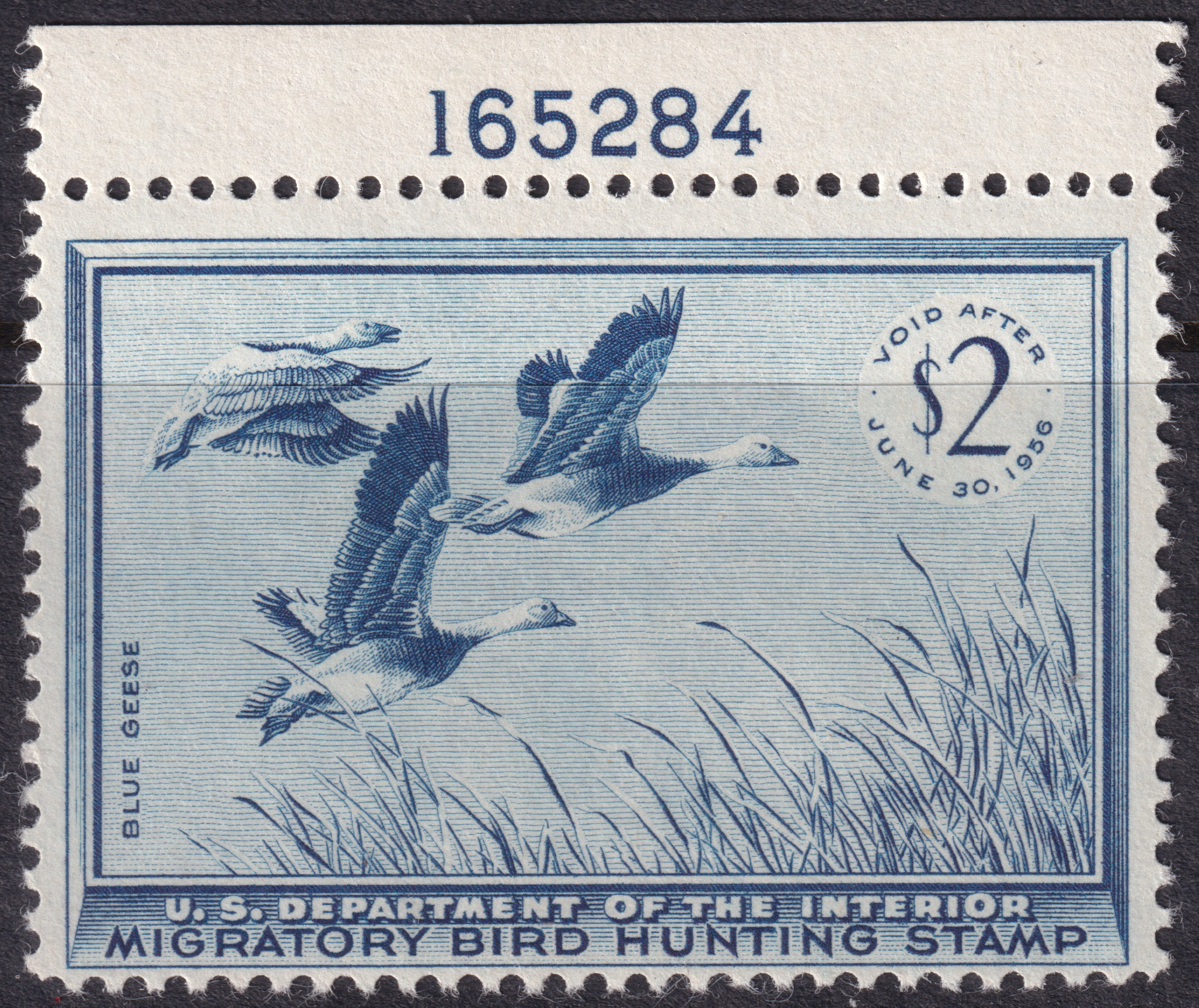 Stamp Picture