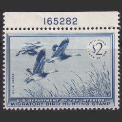 Picture of Lot #55244