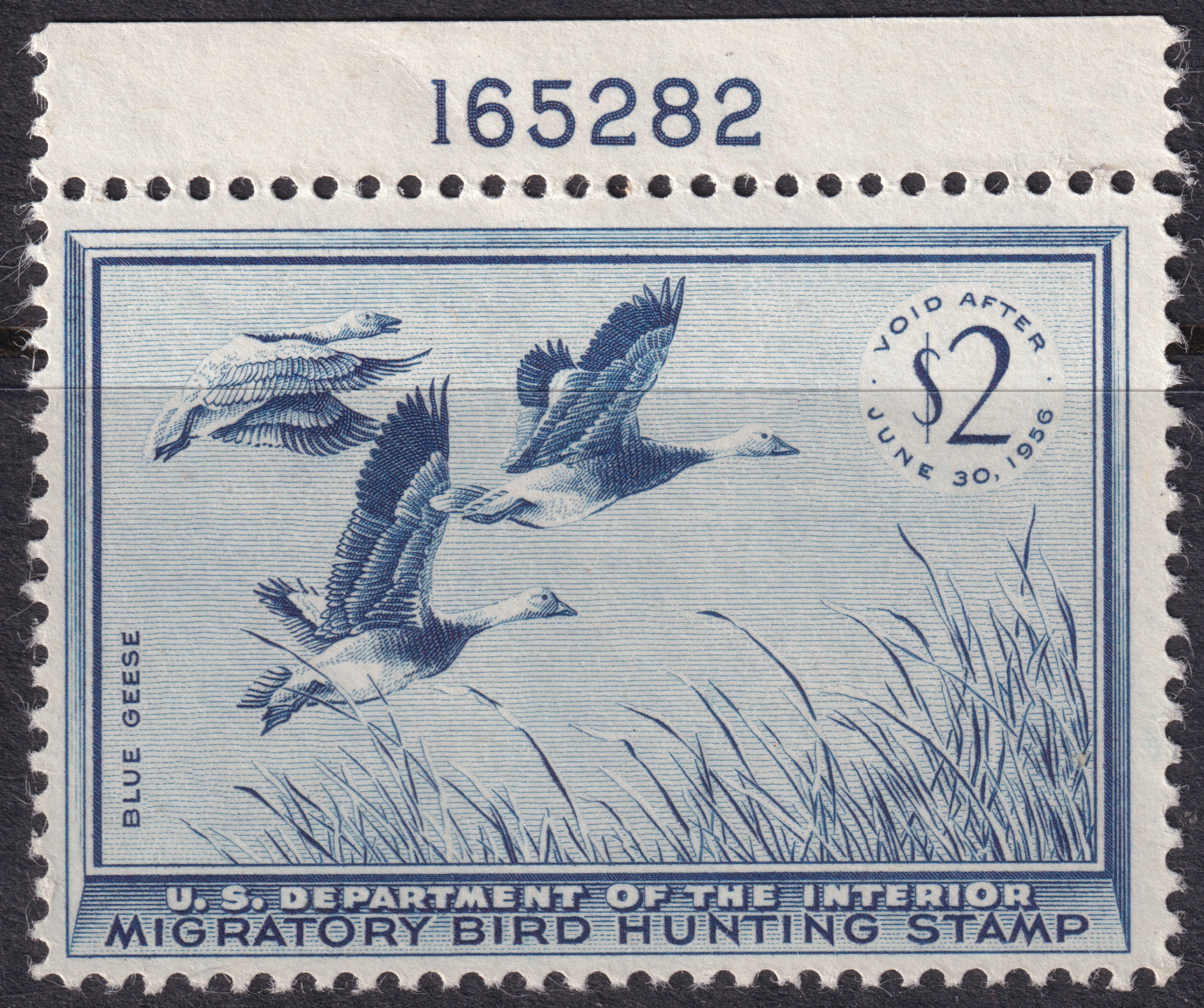 Stamp Picture