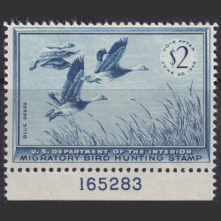 Picture of Lot #55245