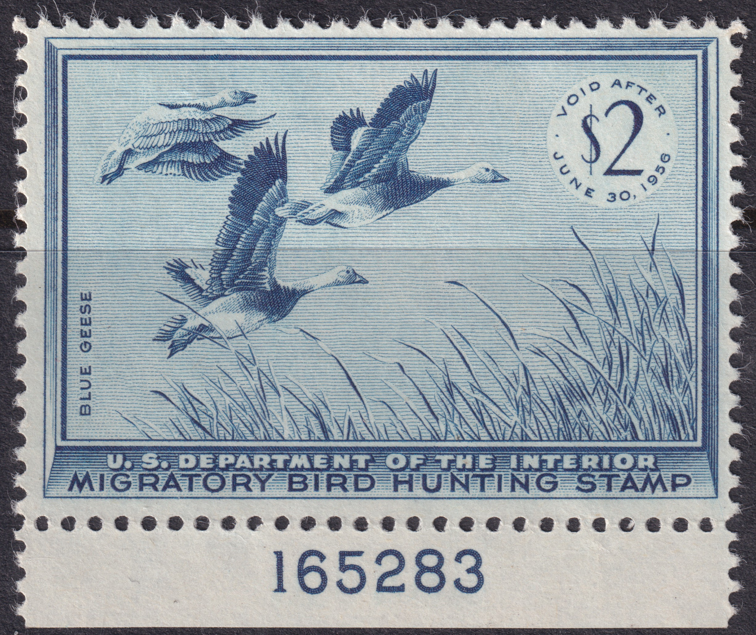 Stamp Picture