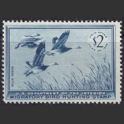 Picture of Lot #55246