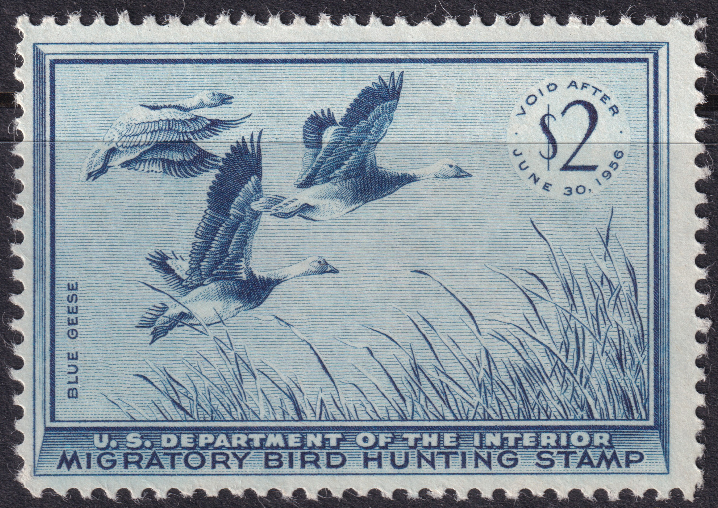 Stamp Picture