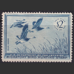 Picture of Lot #55247