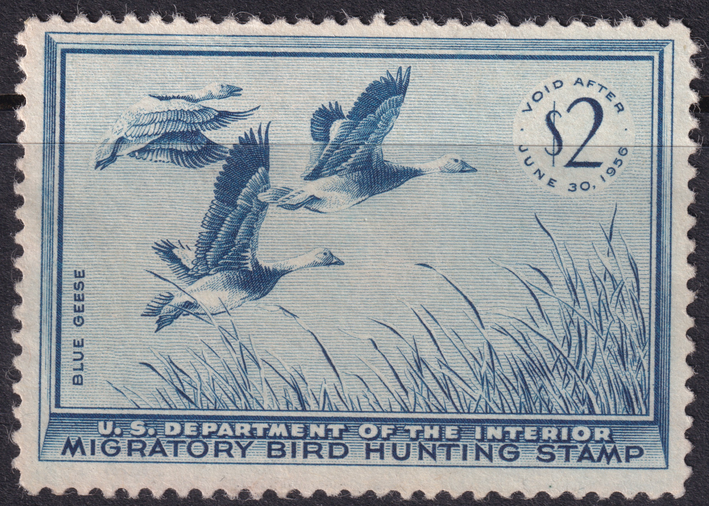 Stamp Picture