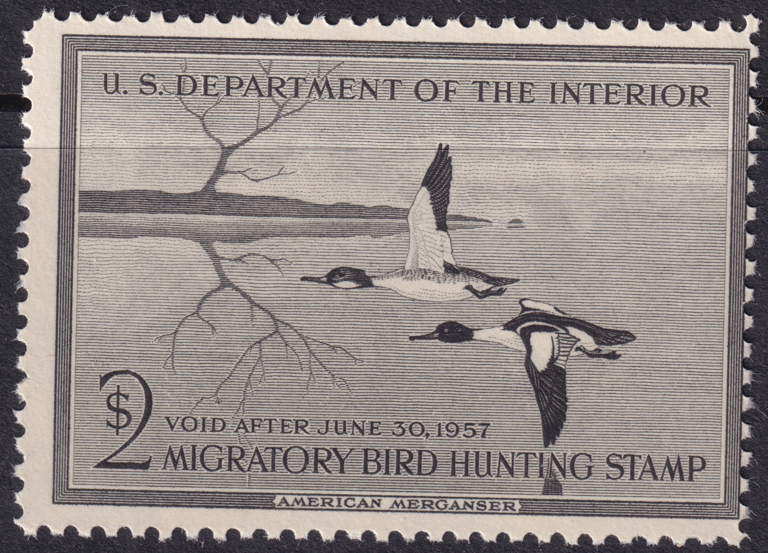 Stamp Picture