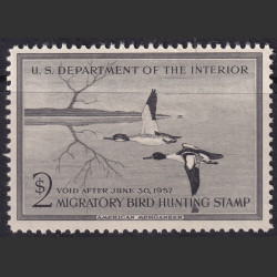 Picture of Lot #55249