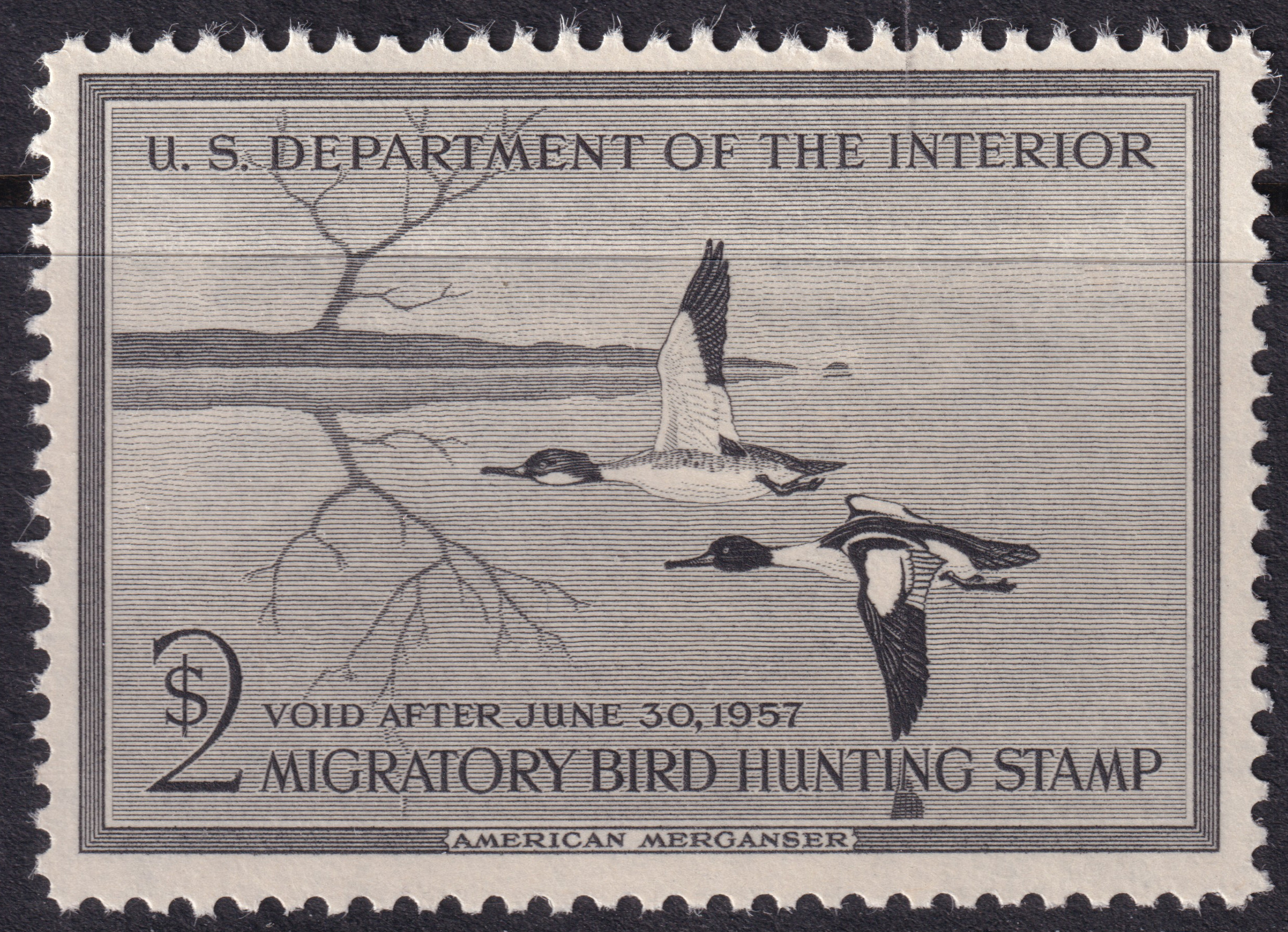 Stamp Picture