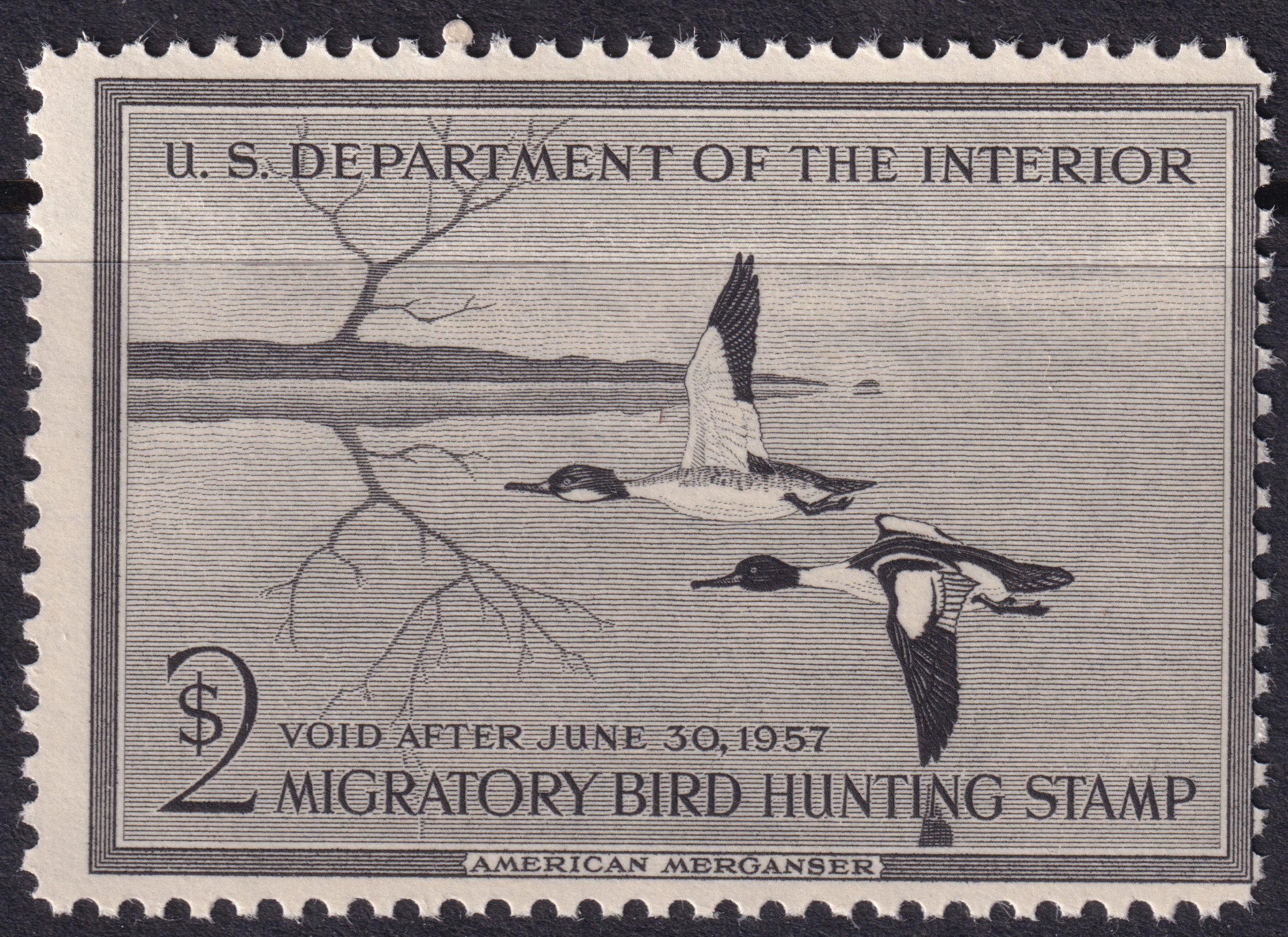 Stamp Picture